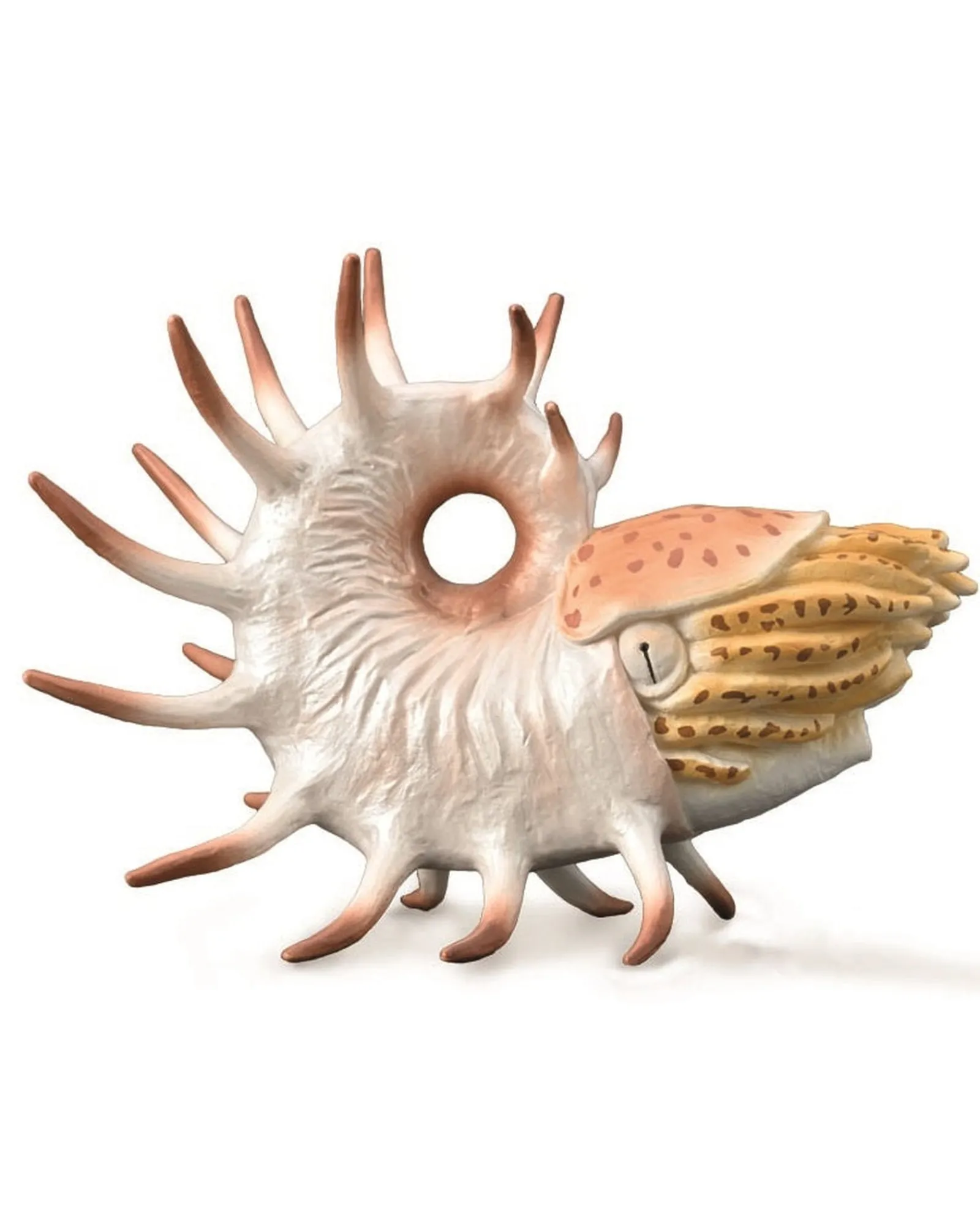 Collecta Xl Cooperoceras New