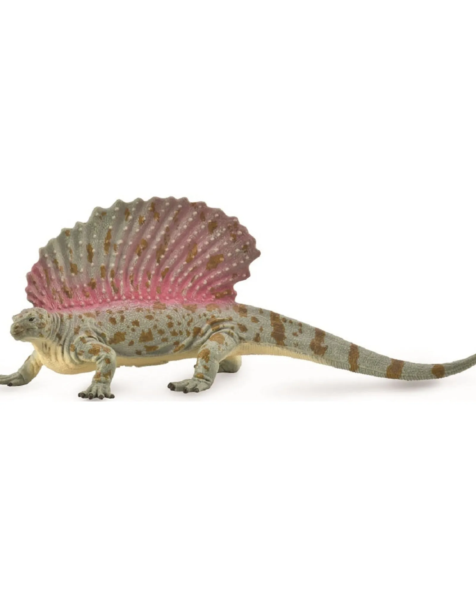 Collecta Xl Edaphosarus New