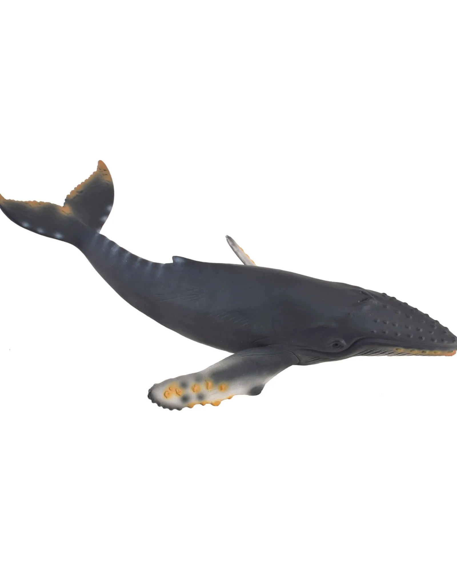 Collecta Xl Hump Back Whale Fashion