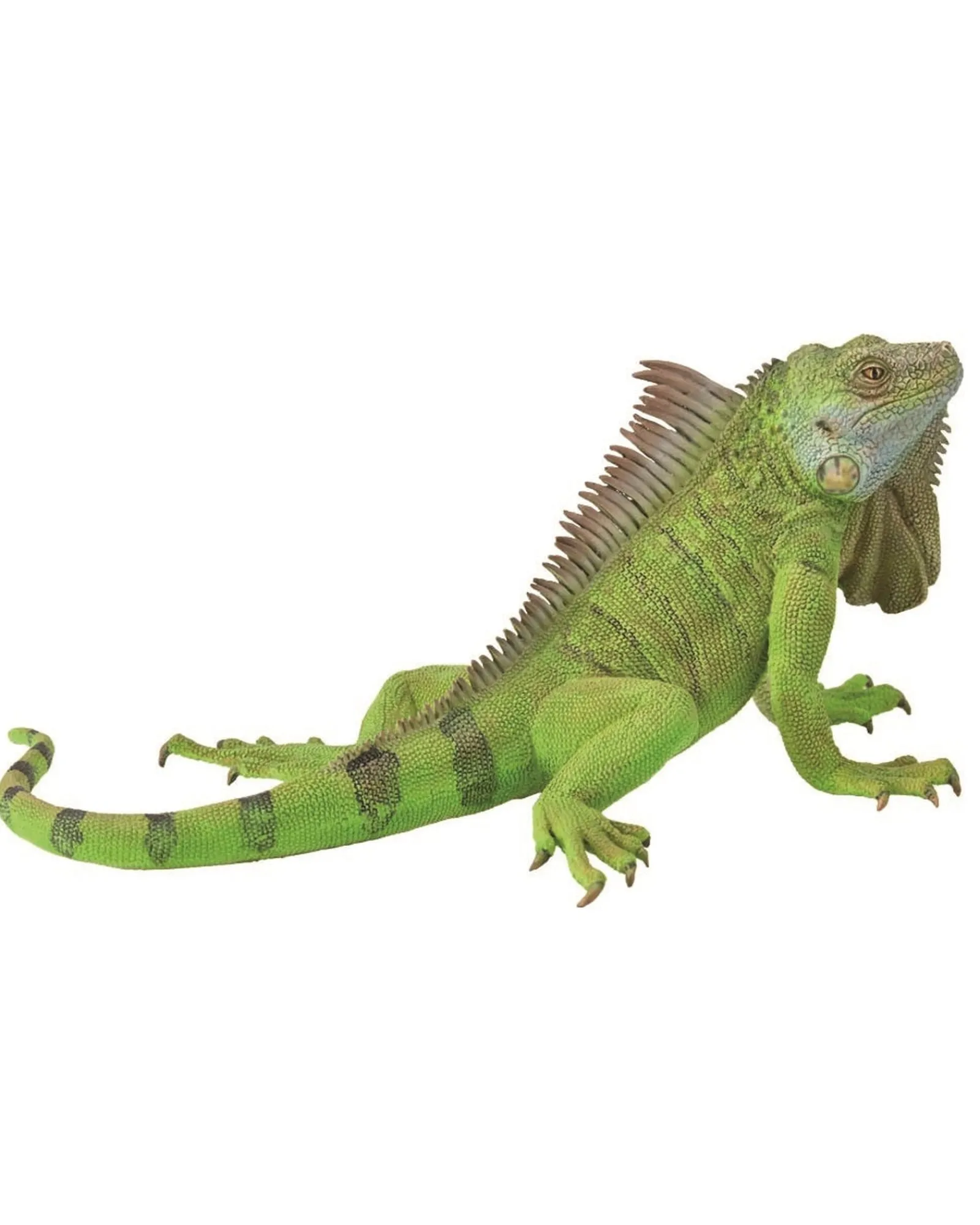 Collecta Xl Iguana Online