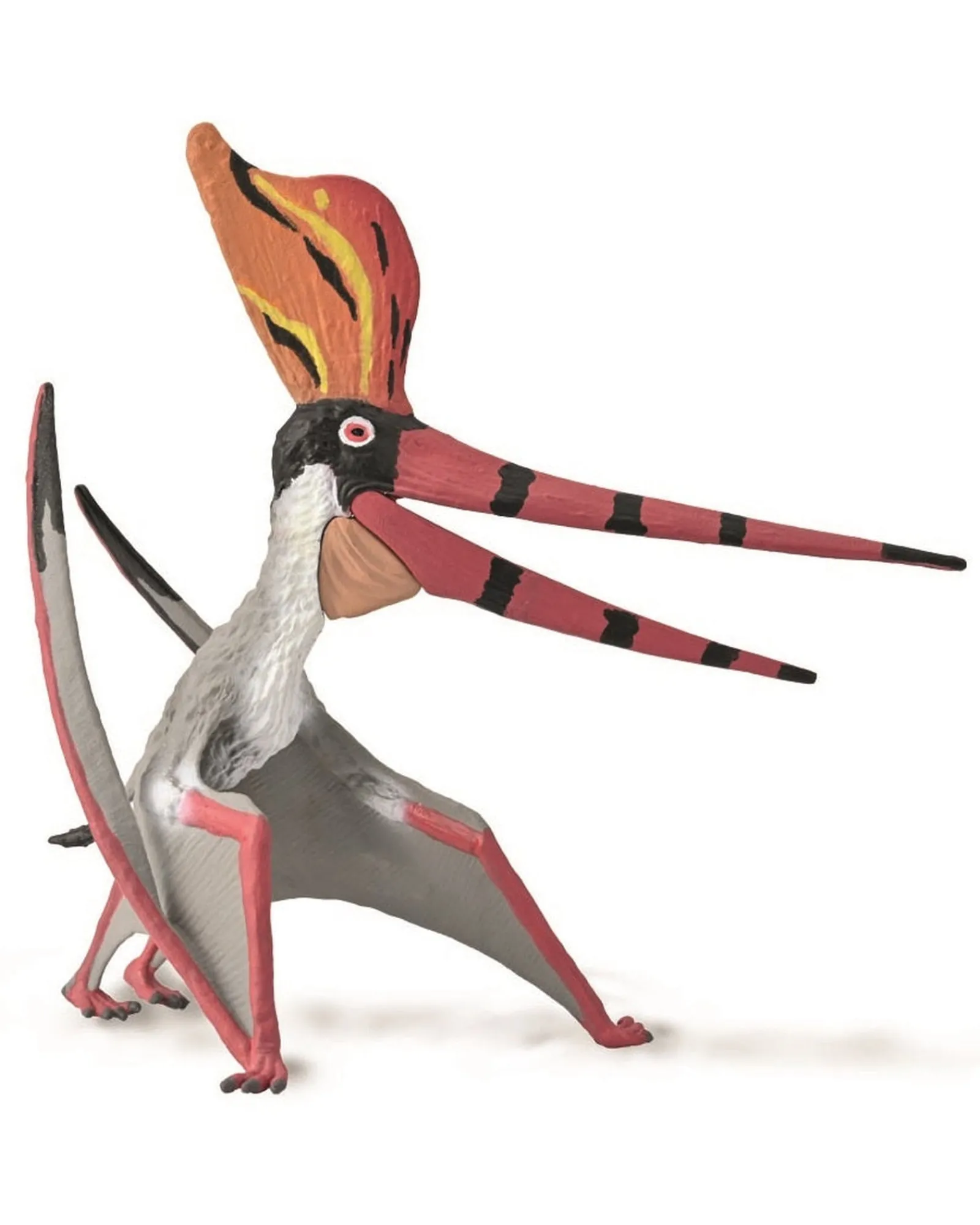 Collecta Xl Pteranodon With Movable Jaw Outlet