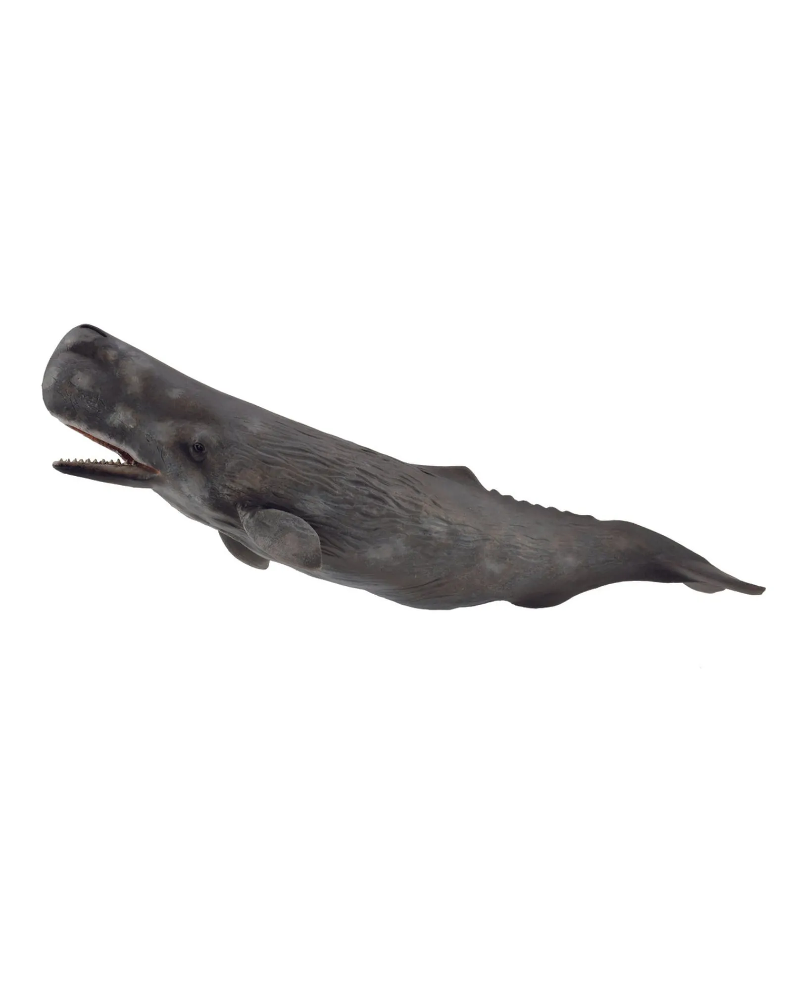 Collecta Xl Sperm Whale Cheap
