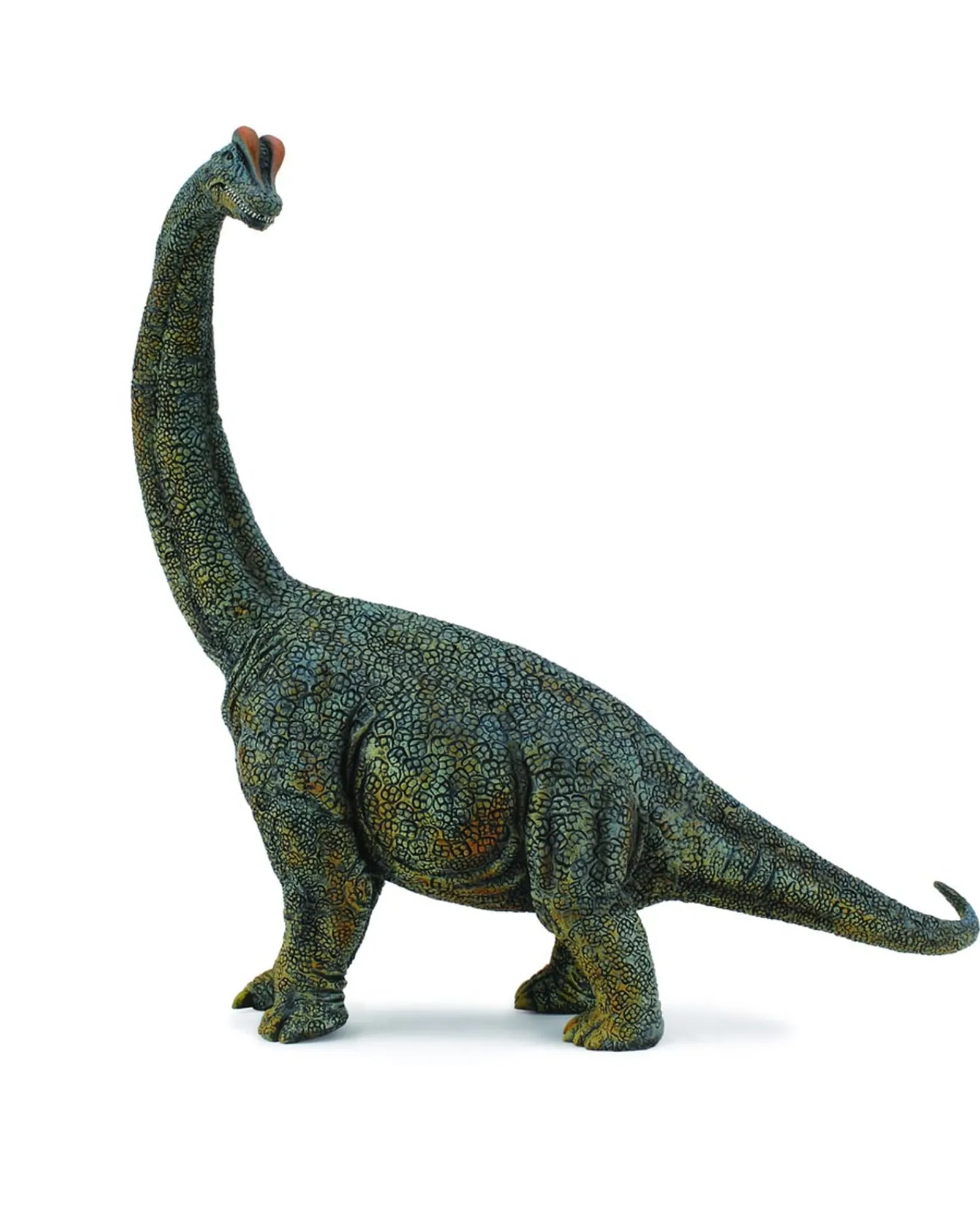 Collecta Xxl Brachiosaurus Sale