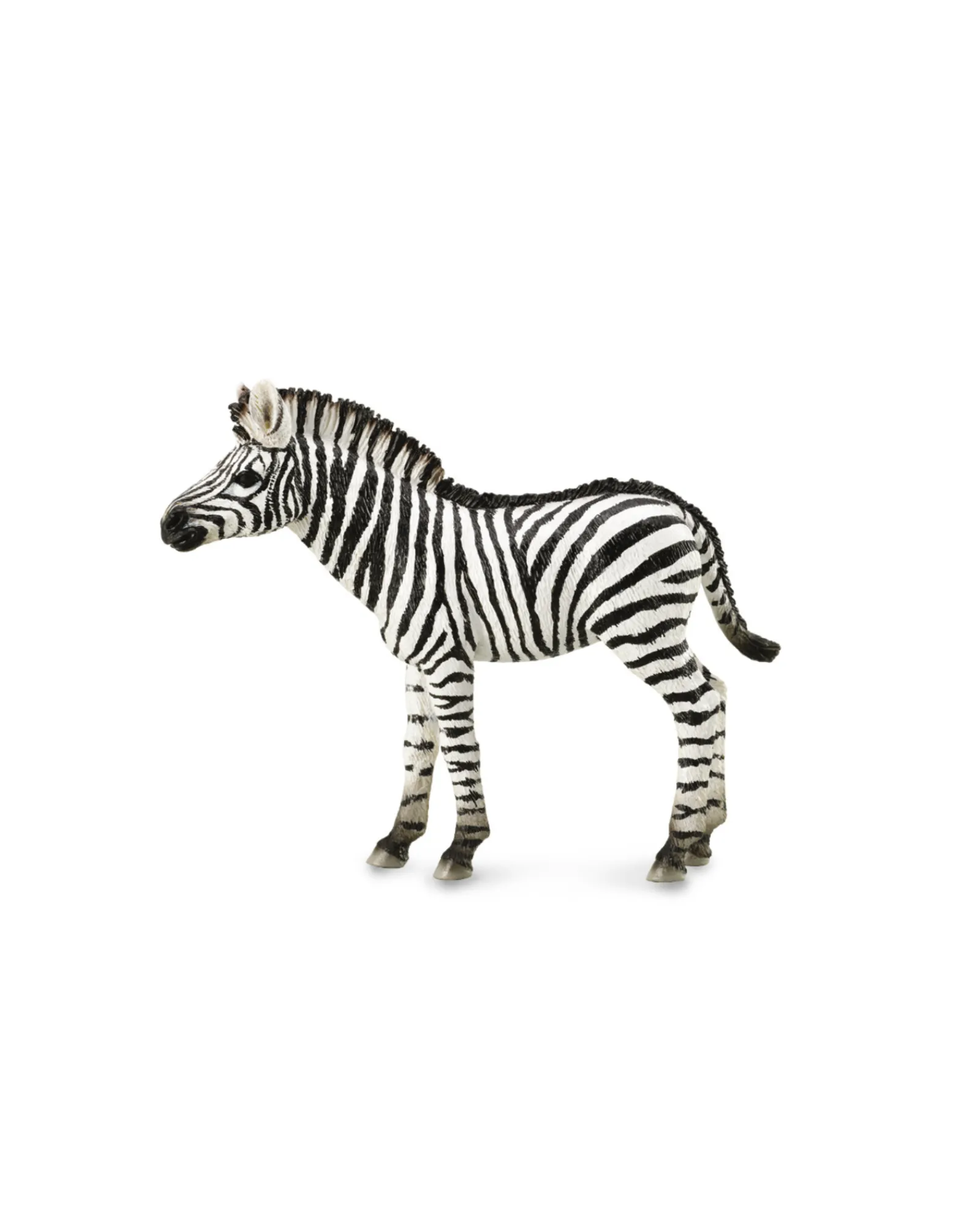 Collecta Zebra Foal Medium Store