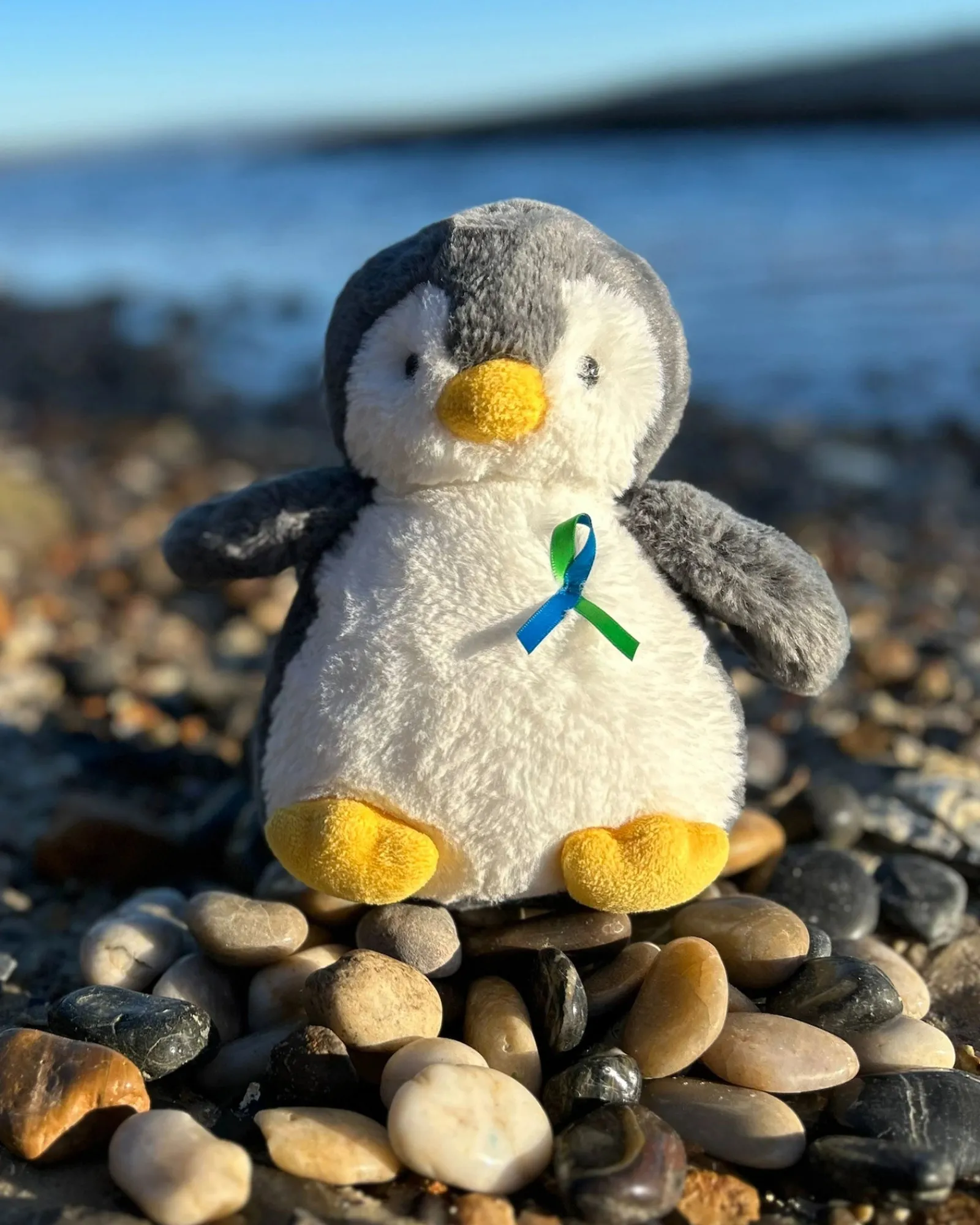 * Ctf-Penguin Cheap