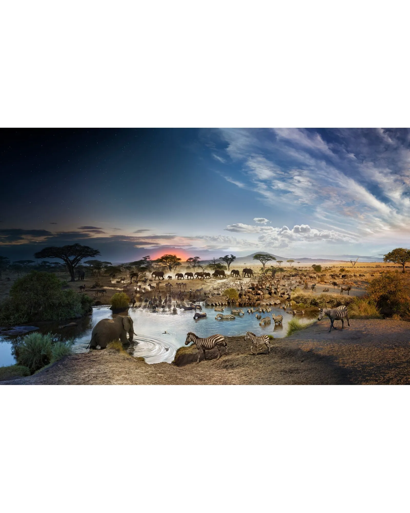 Stephen Wilkes Day Night Puzzle 1000Pc Serengeti National Park Hot