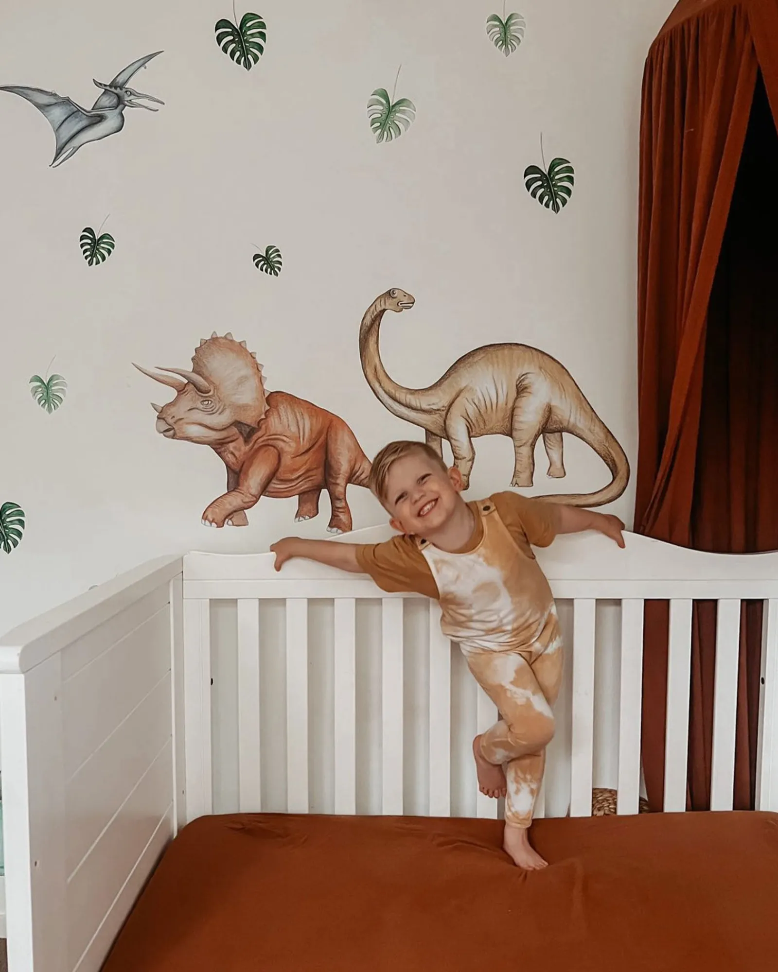 Polka Prints Dinosaurs Wall Decals Store