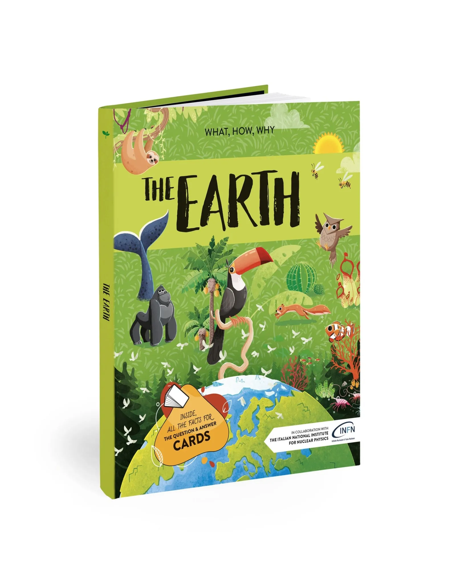 Sassi Earth Ultimate Atlas Puzzle Book And Game Set Cheap