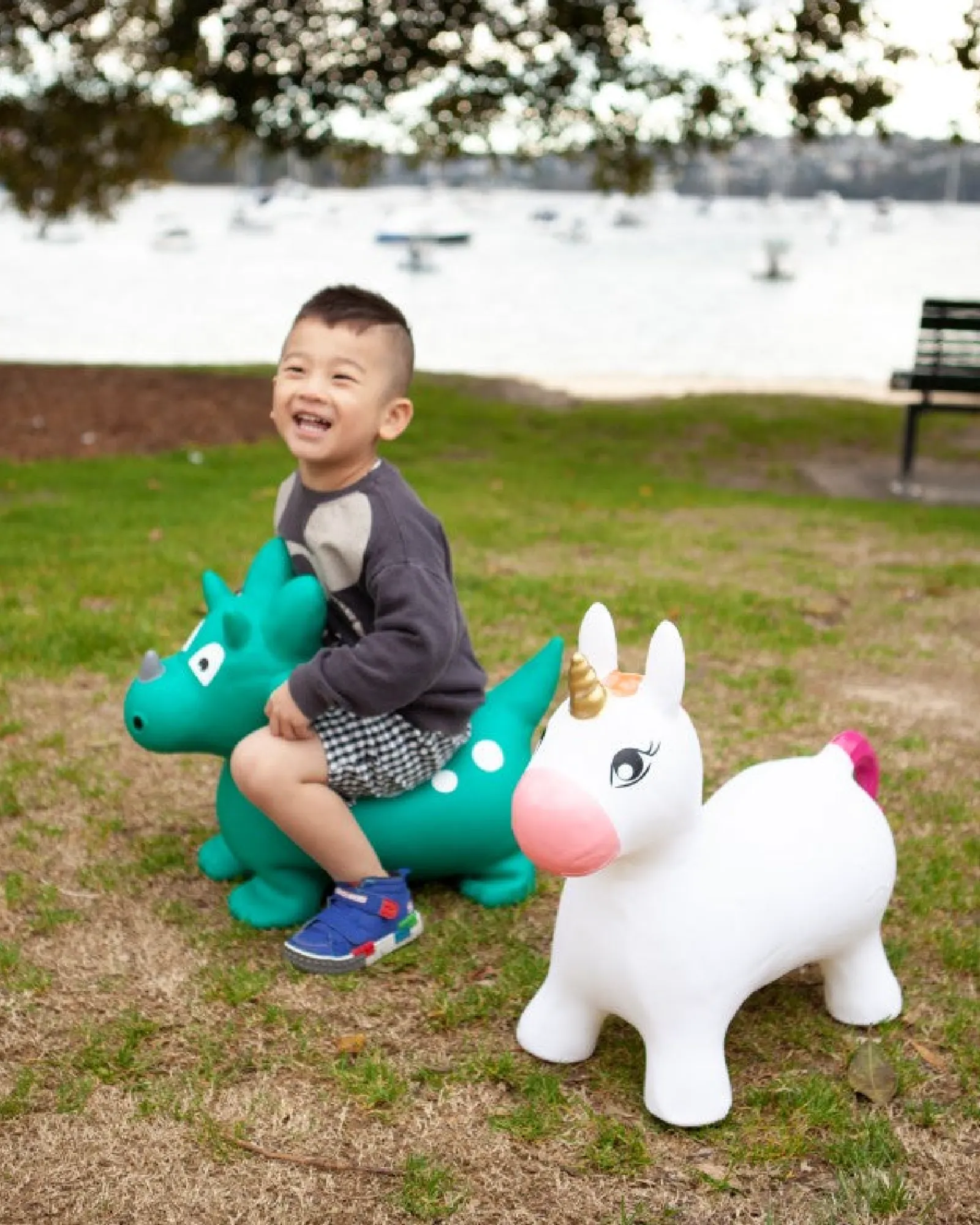 Freeplay Kids Kidsdinosaur Hopper Cheap