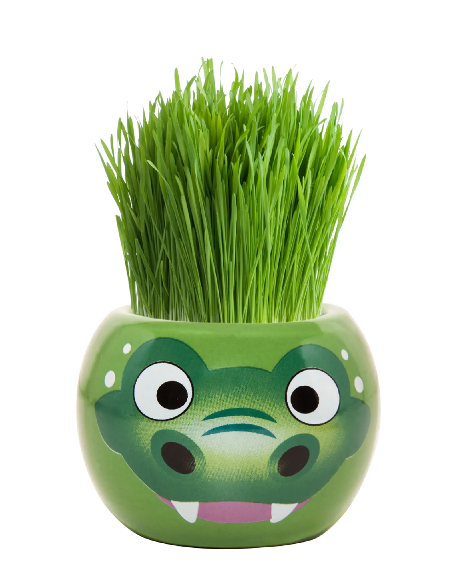 Boutique Garden Grass Hair Kits Aussie Animal Crocodile Best Sale