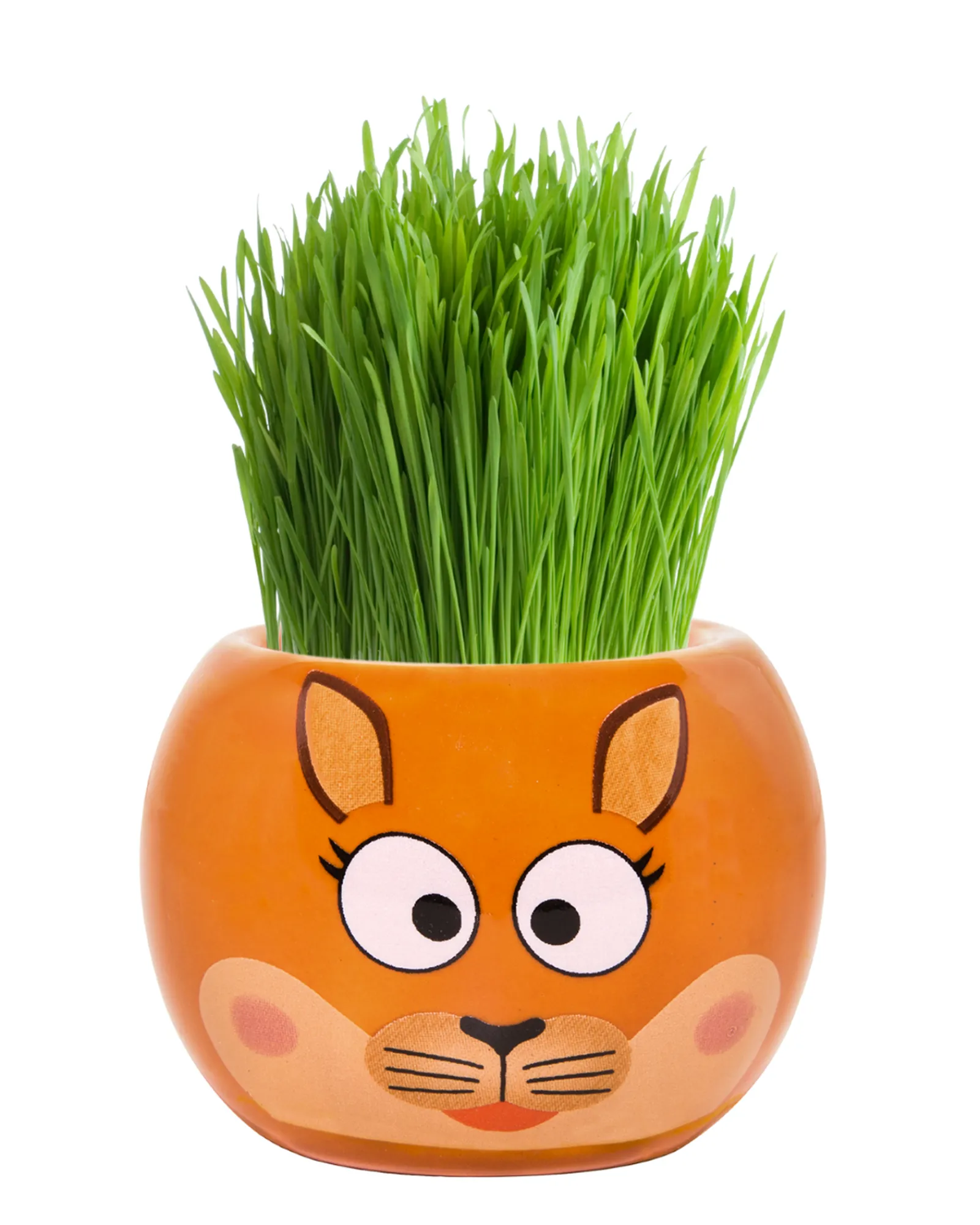 Boutique Garden Grass Hair Kits Aussie Animal Kangaroo Fashion