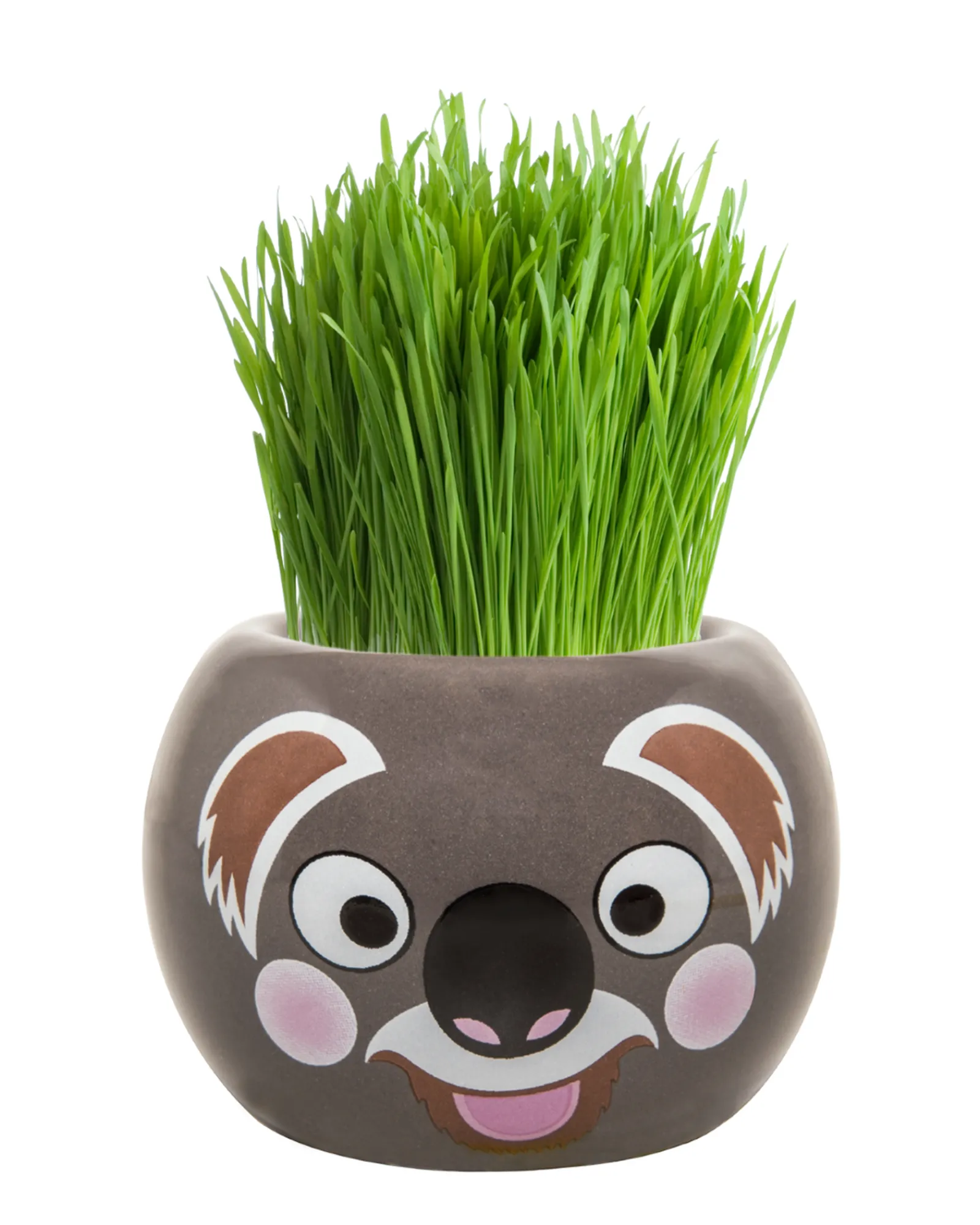 Boutique Garden Grass Hair Kits Aussie Animal Koala Best Sale