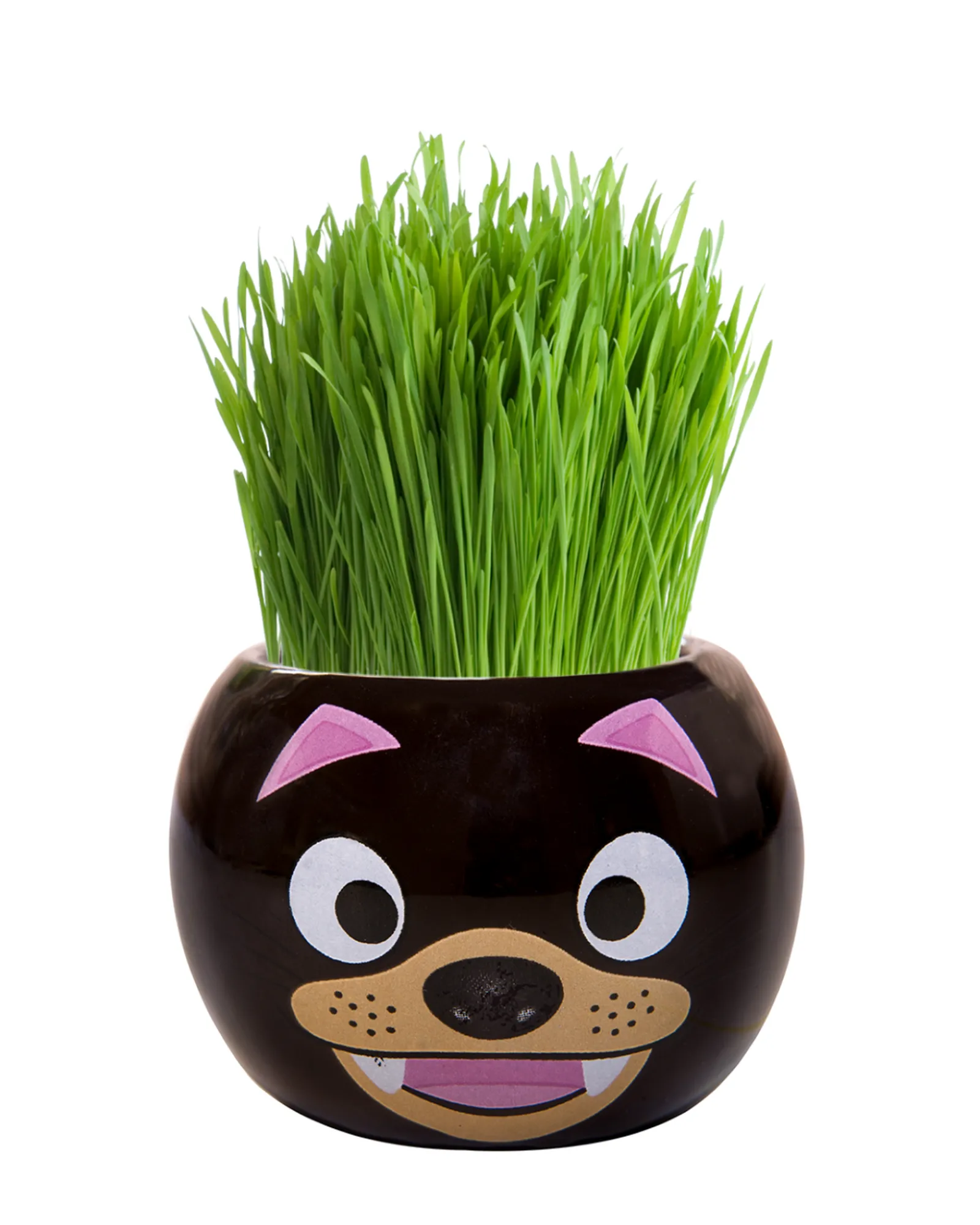 Boutique Garden Grass Hair Kits Aussie Animal Tasmanian Devil Fashion