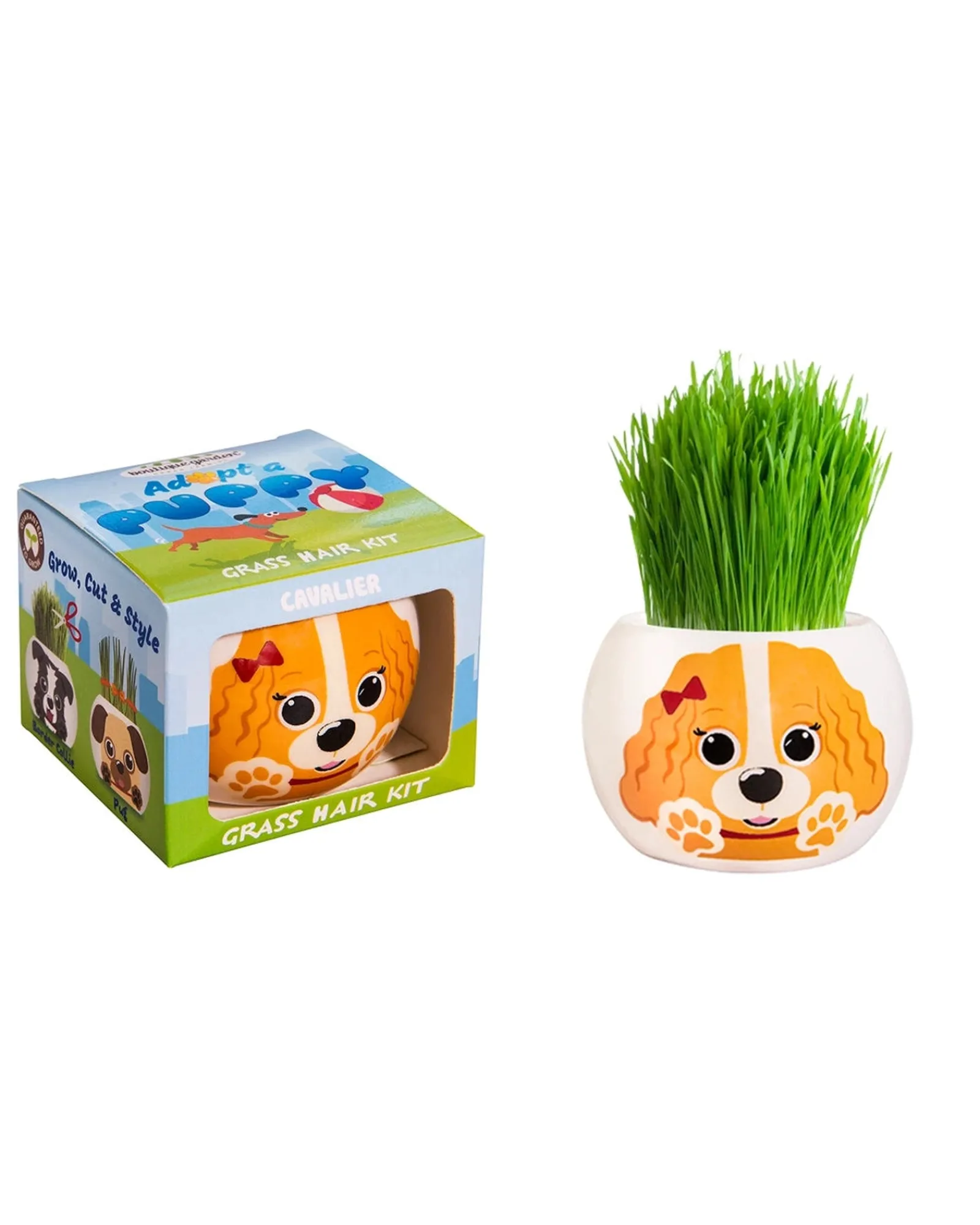 Boutique Garden Grass Hair Kits Puppy Cavalier Store