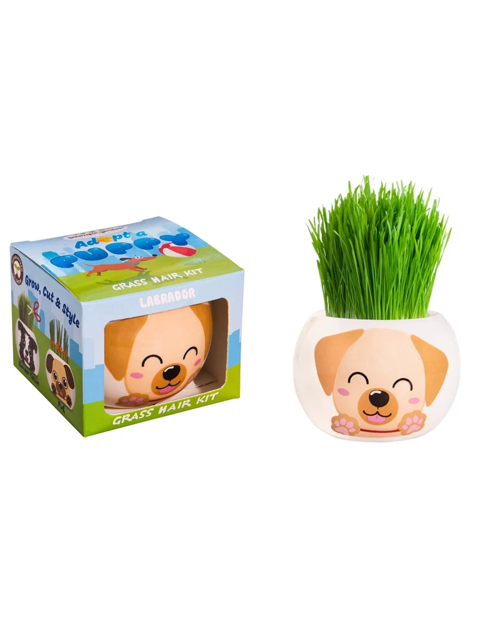 Boutique Garden Grass Hair Kits Puppy Labrador Cheap