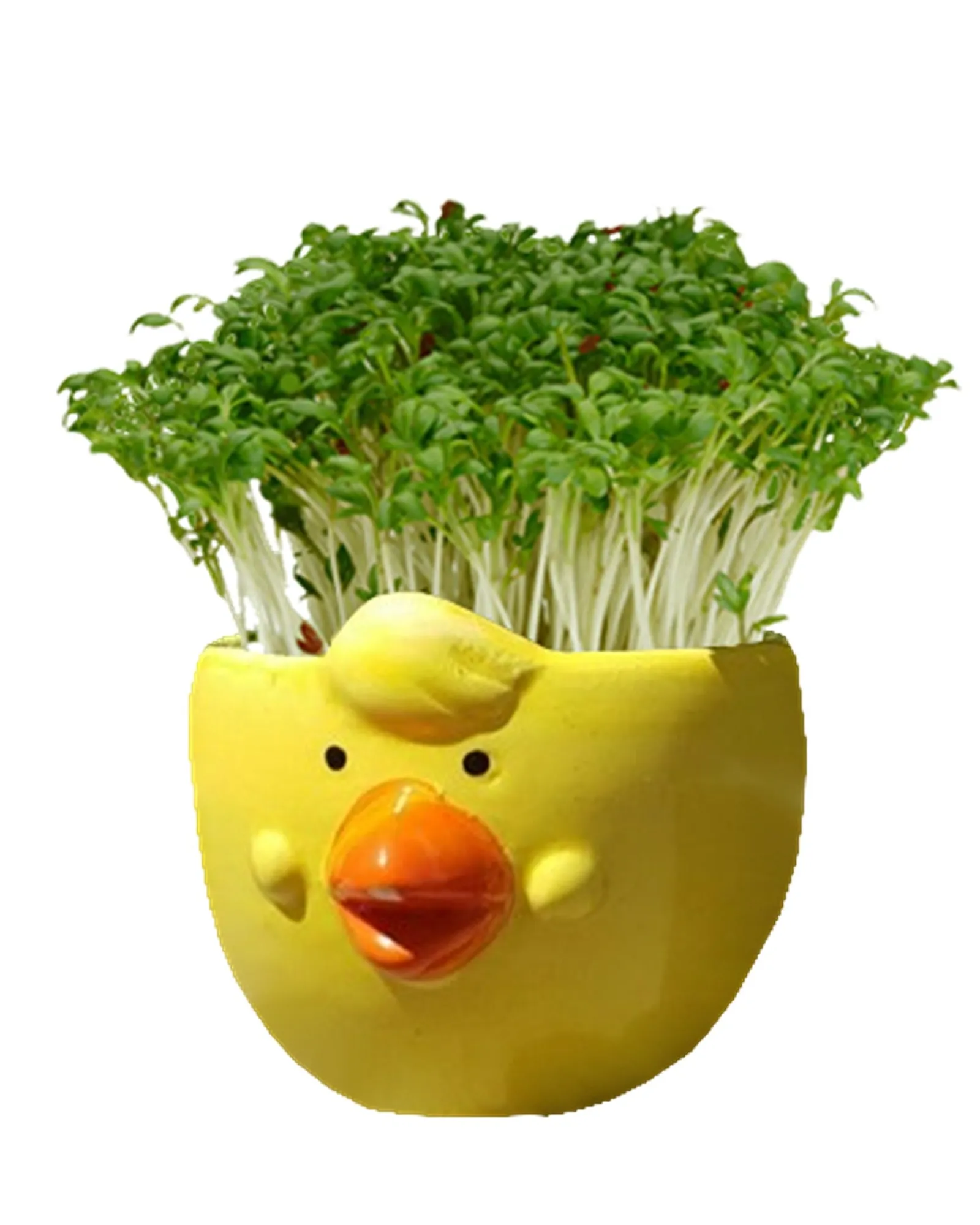 Boutique Garden Grass Head Kits Easter Chick Outlet