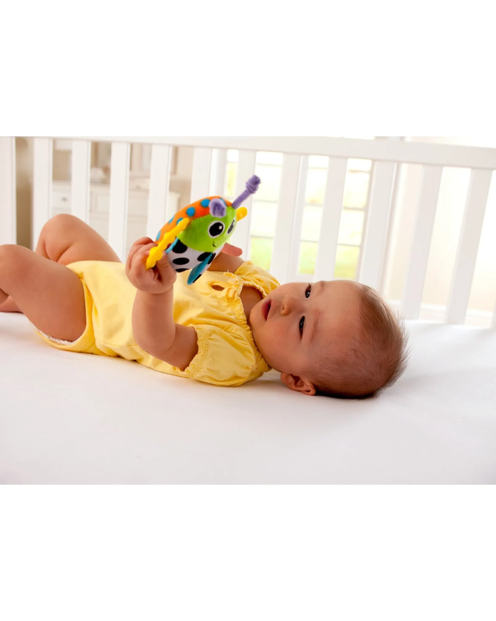 Lamaze Bity Bite Bug Rattle Clearance