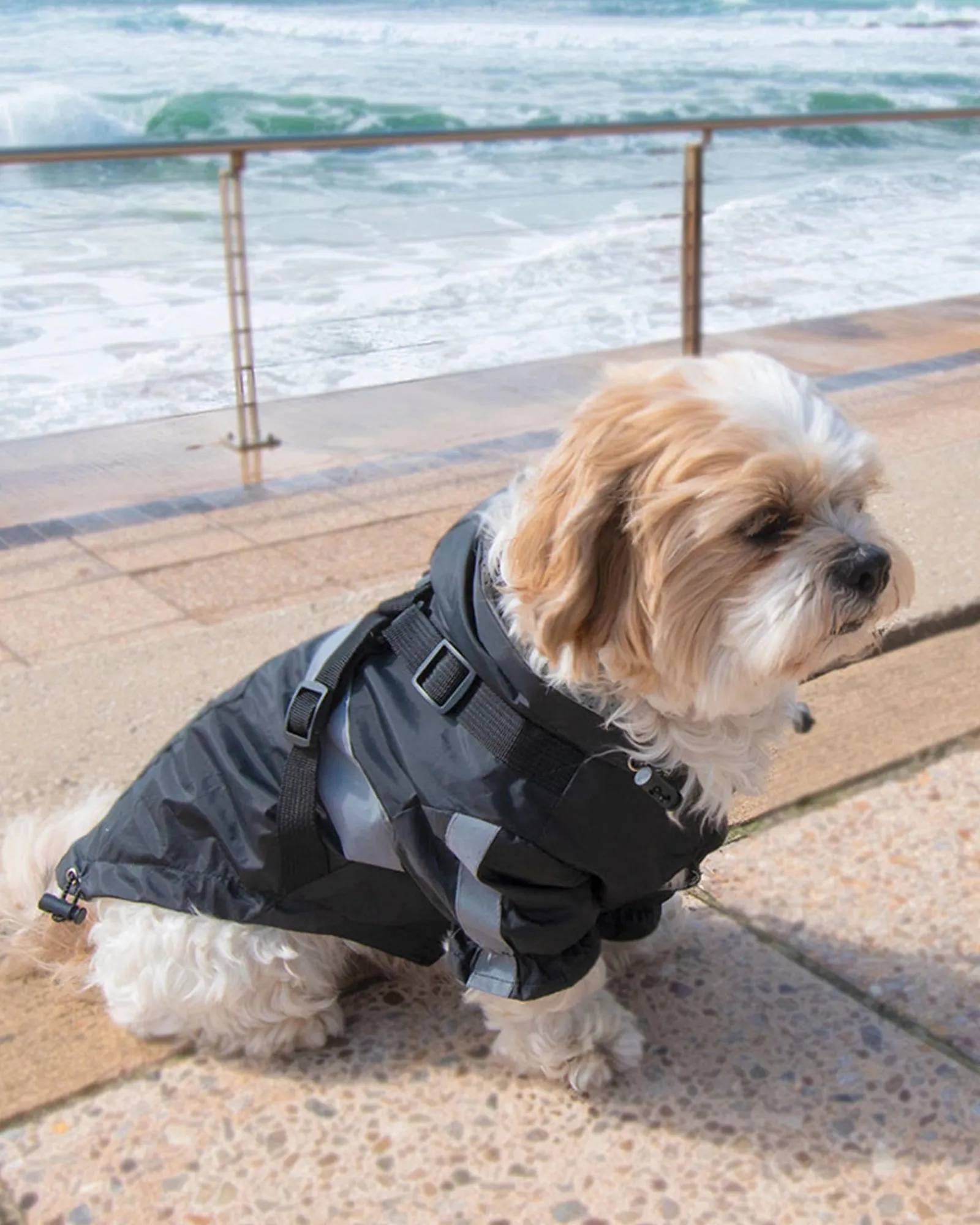 Louie Living Black Raincoat Large Outlet