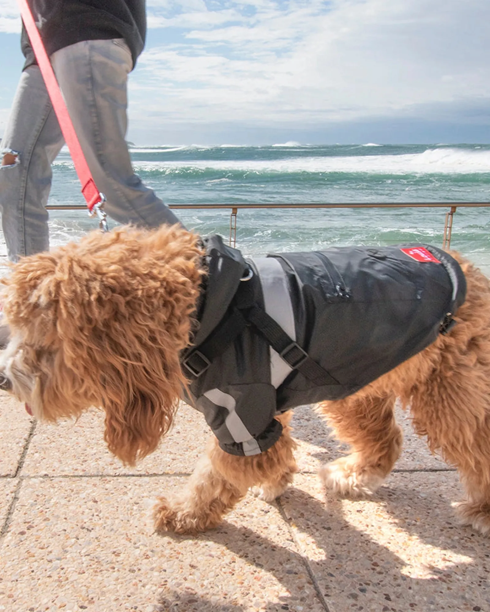Louie Living Black Raincoat Small Best