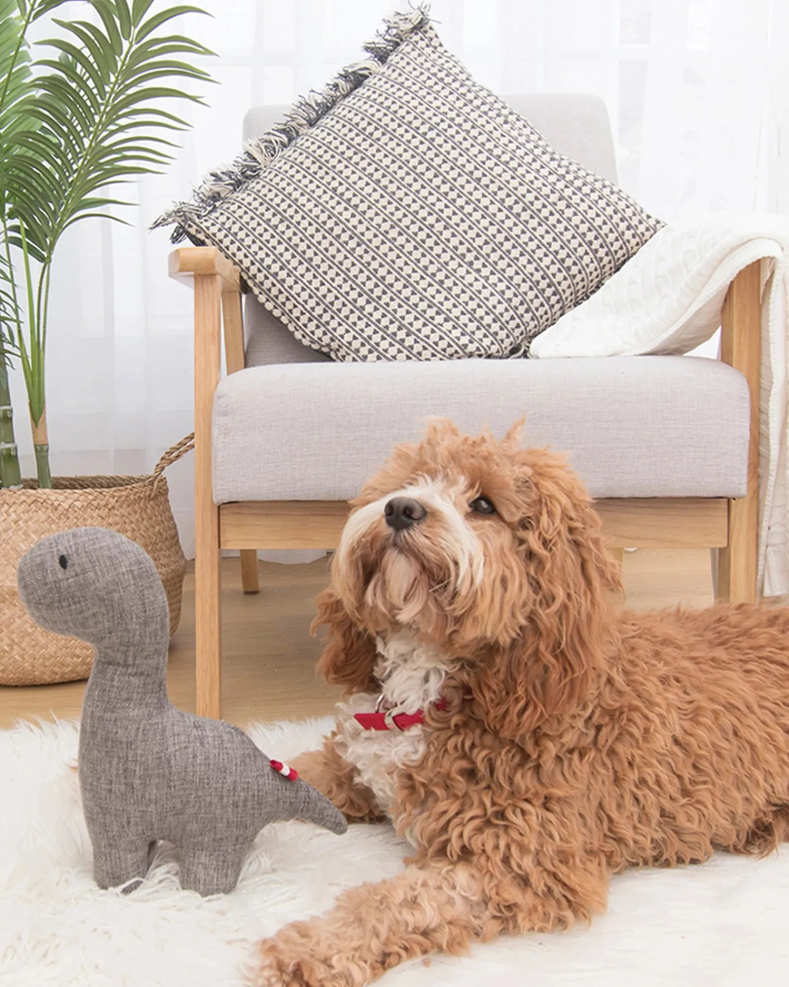 Louie Living Davie The Dino Best Sale