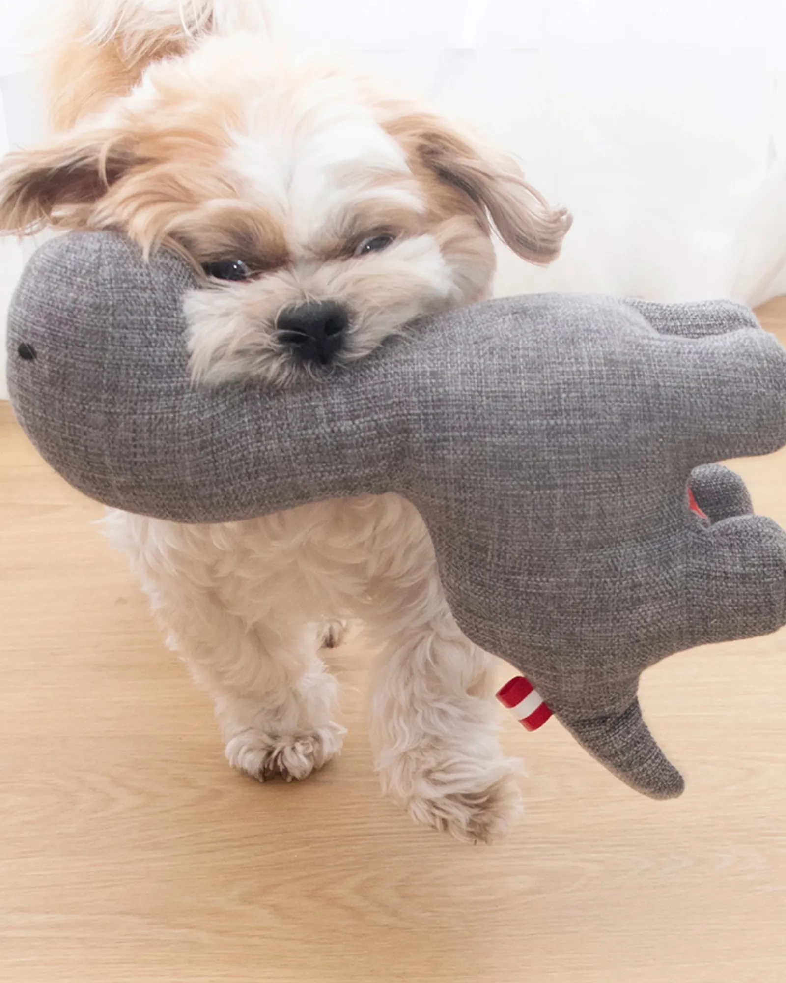 Louie Living Davie The Dino Best Sale