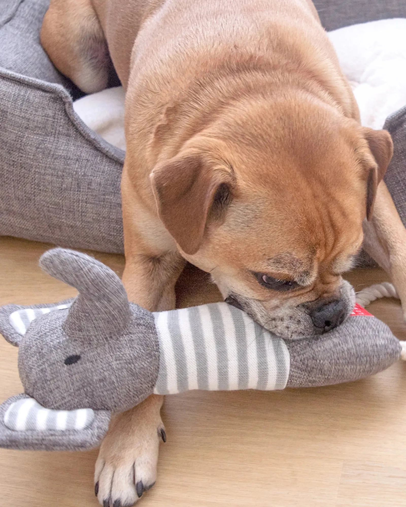 Louie Living Elias The Elephant Discount