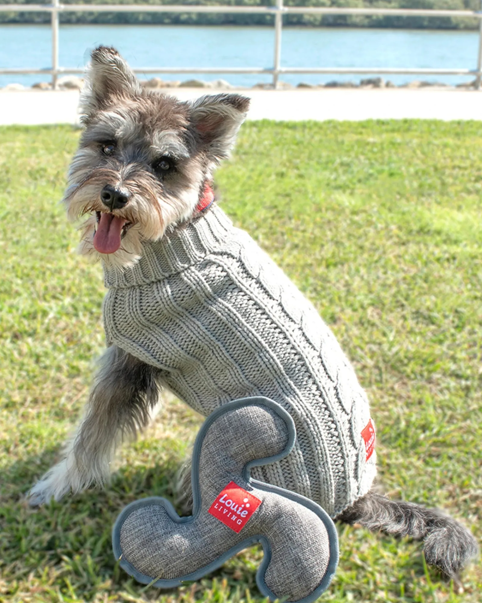 Louie Living Frisbee Hot