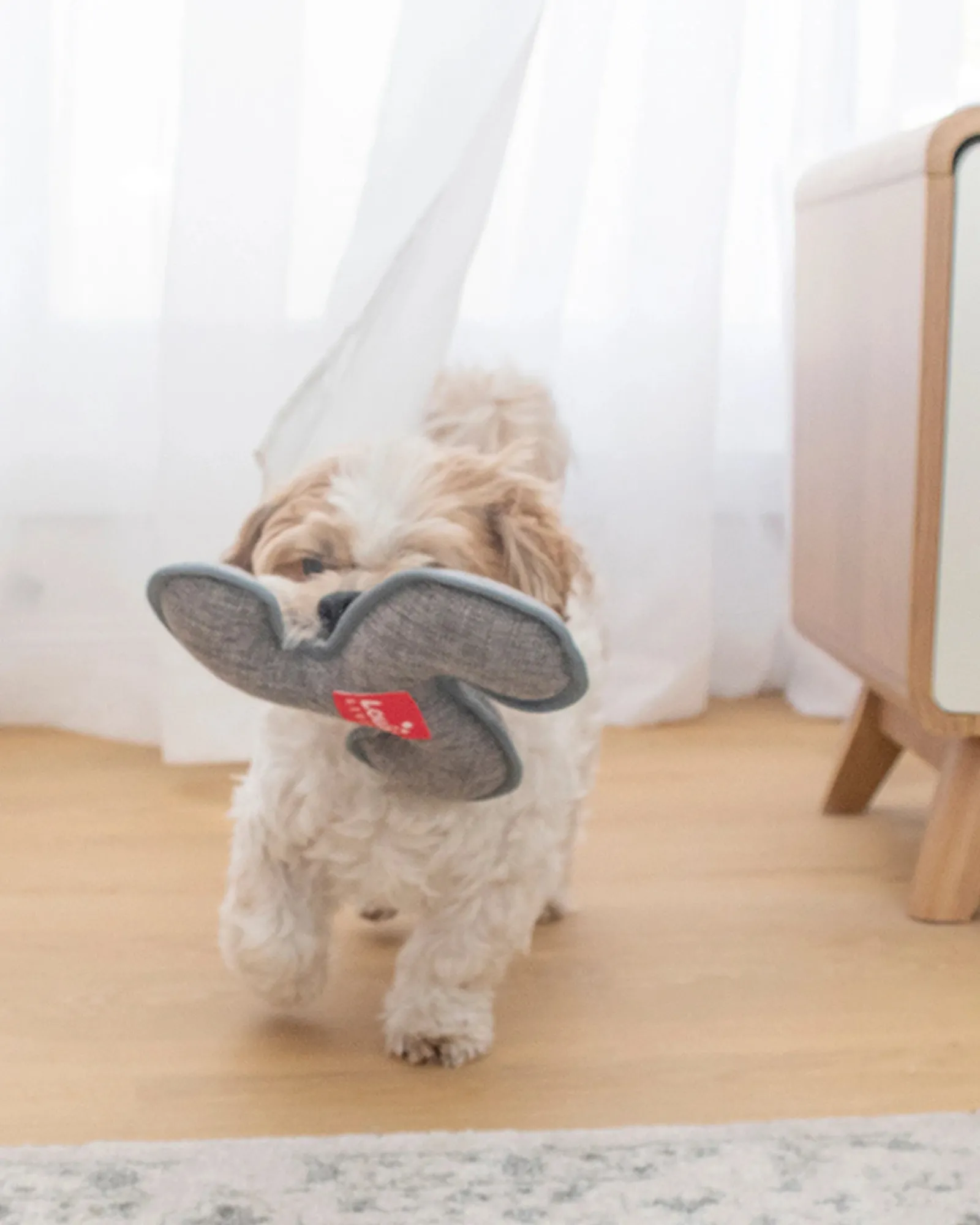 Louie Living Frisbee Hot