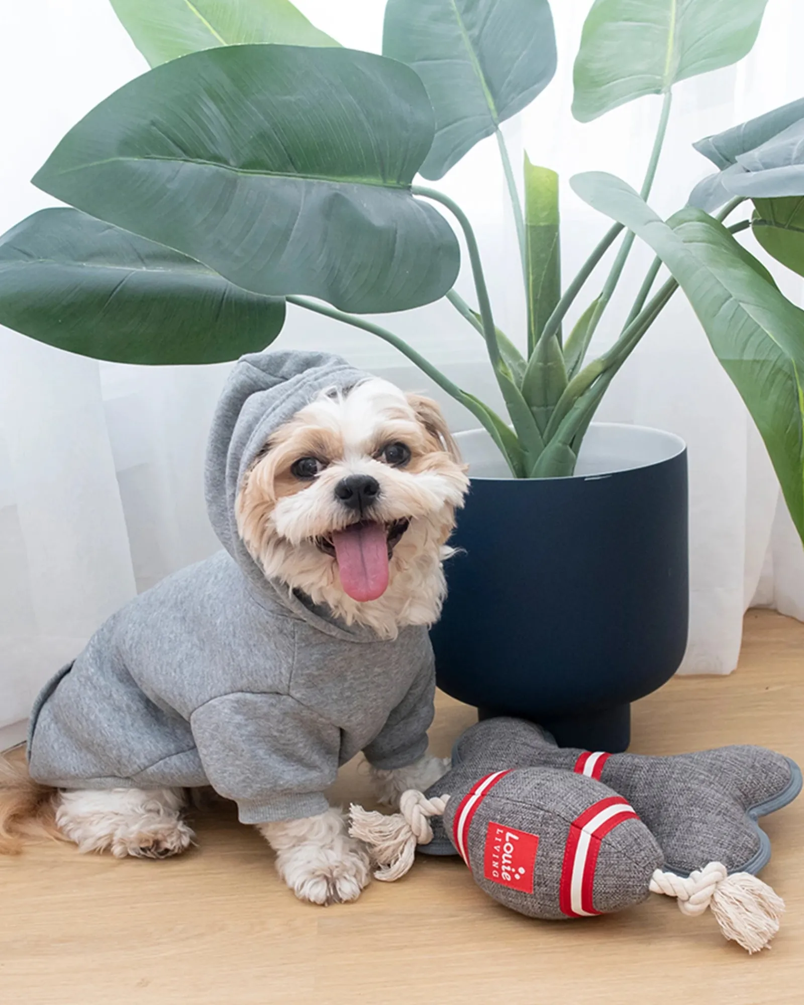 Louie Living Hoodie Grey Large New