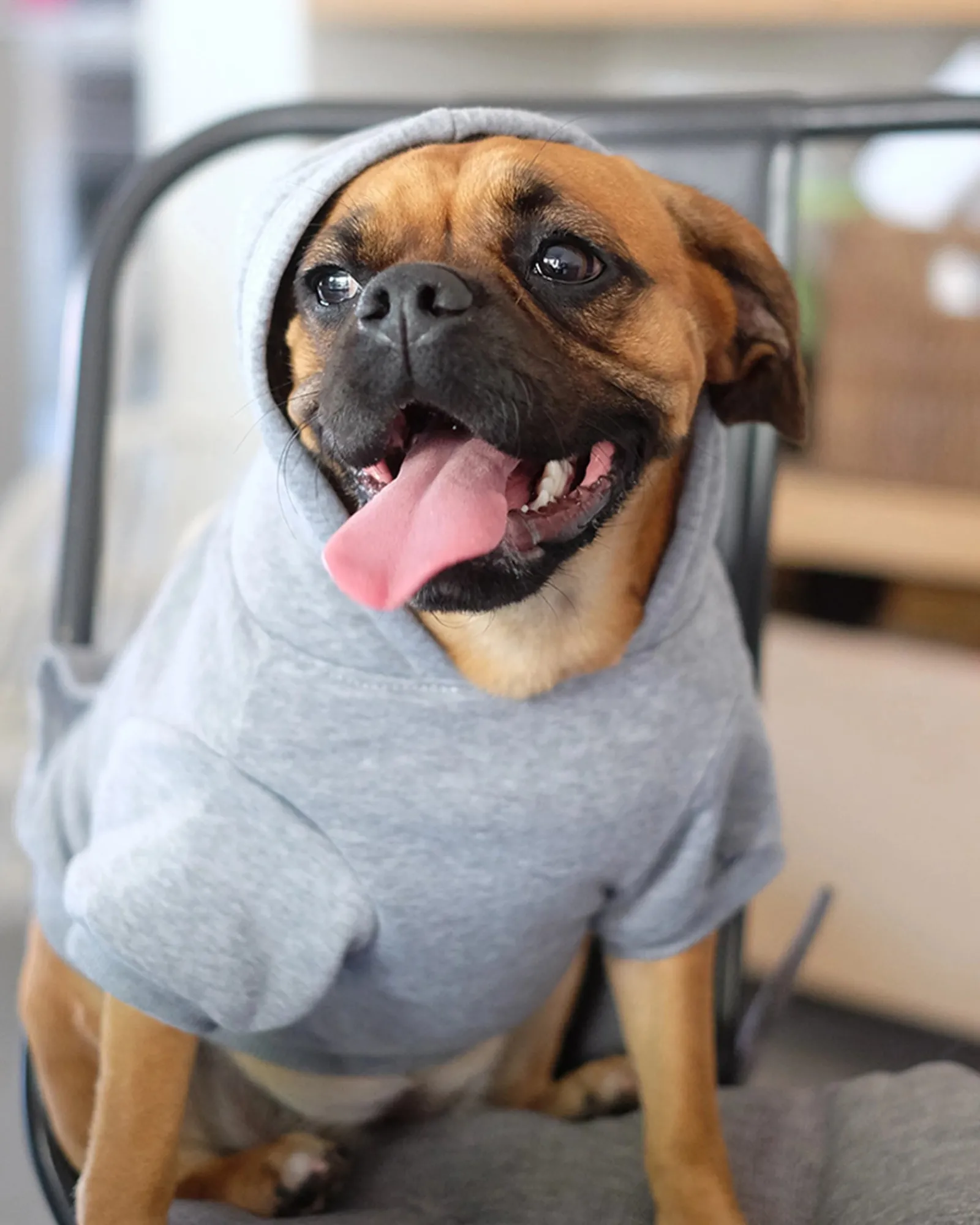 Louie Living Hoodie Grey Medium Sale