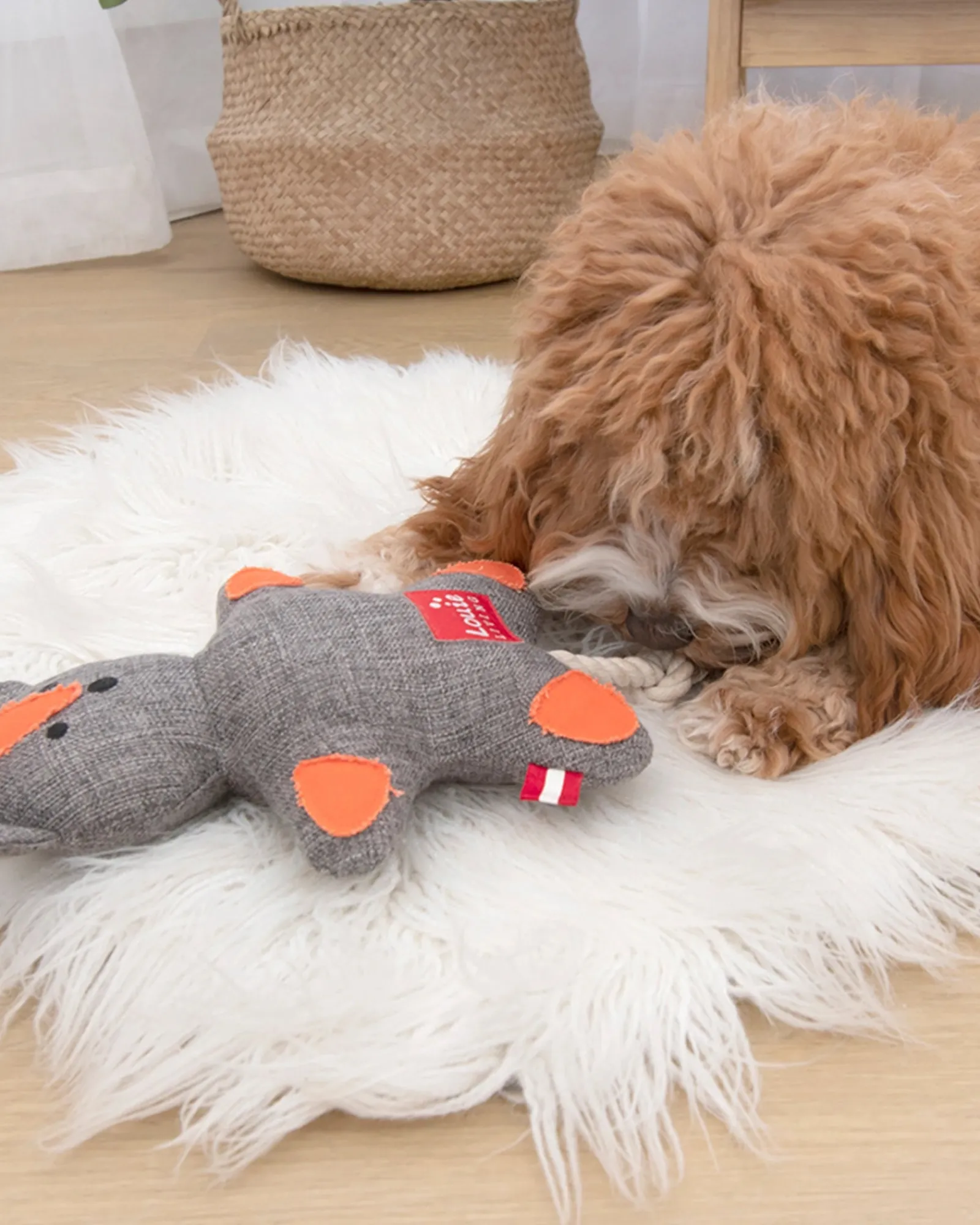 Louie Living Silverster The Squirrel Hot
