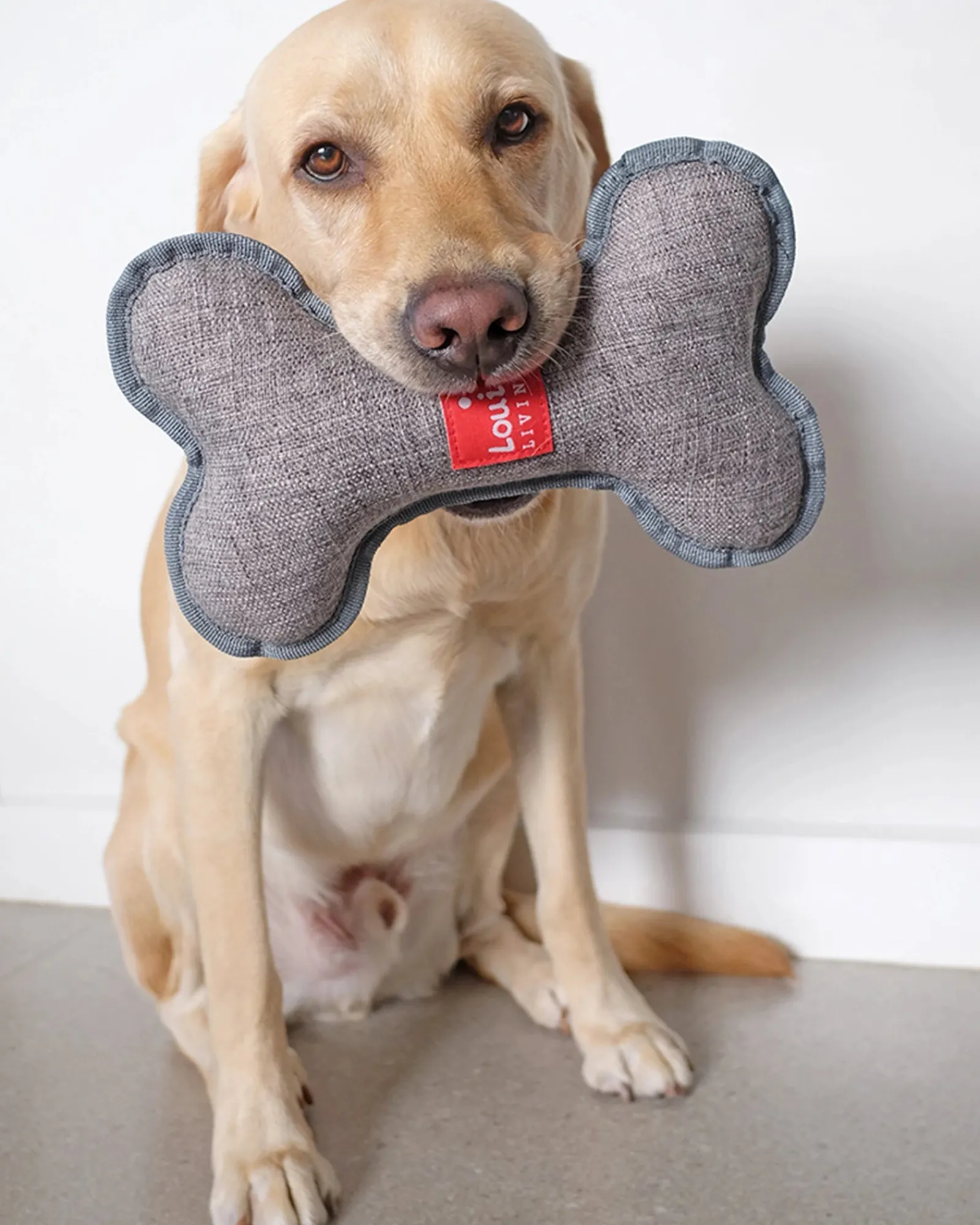 Louie Living Tug Bone Online
