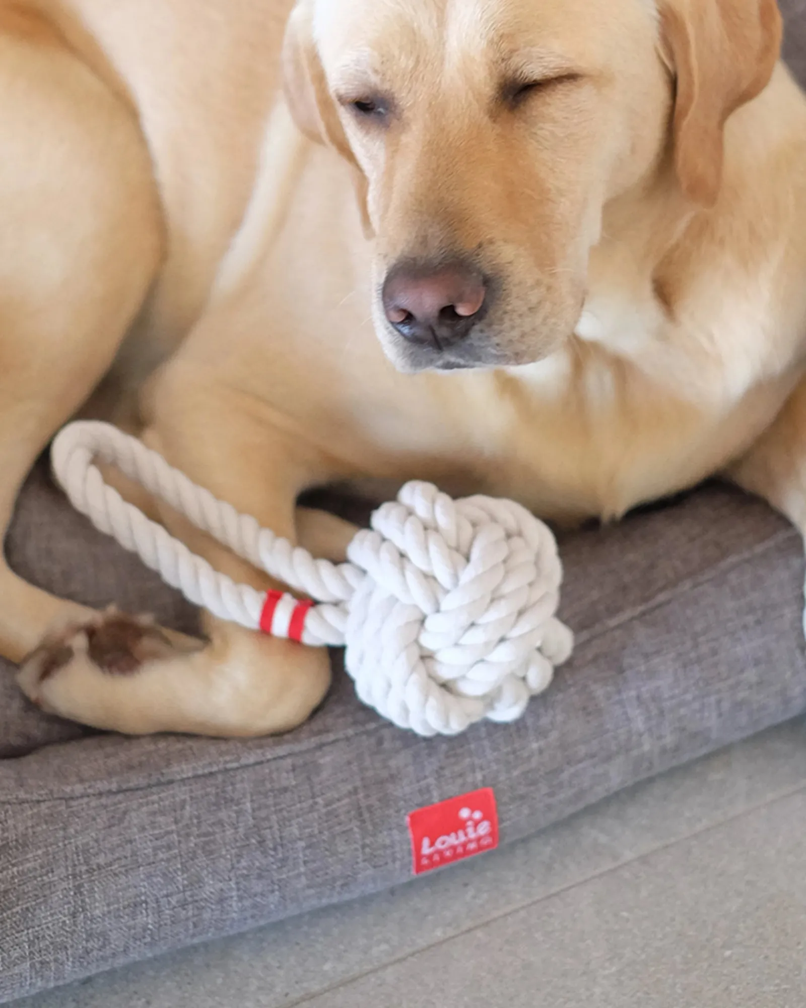 Louie Living Tug Rope Medium Clearance