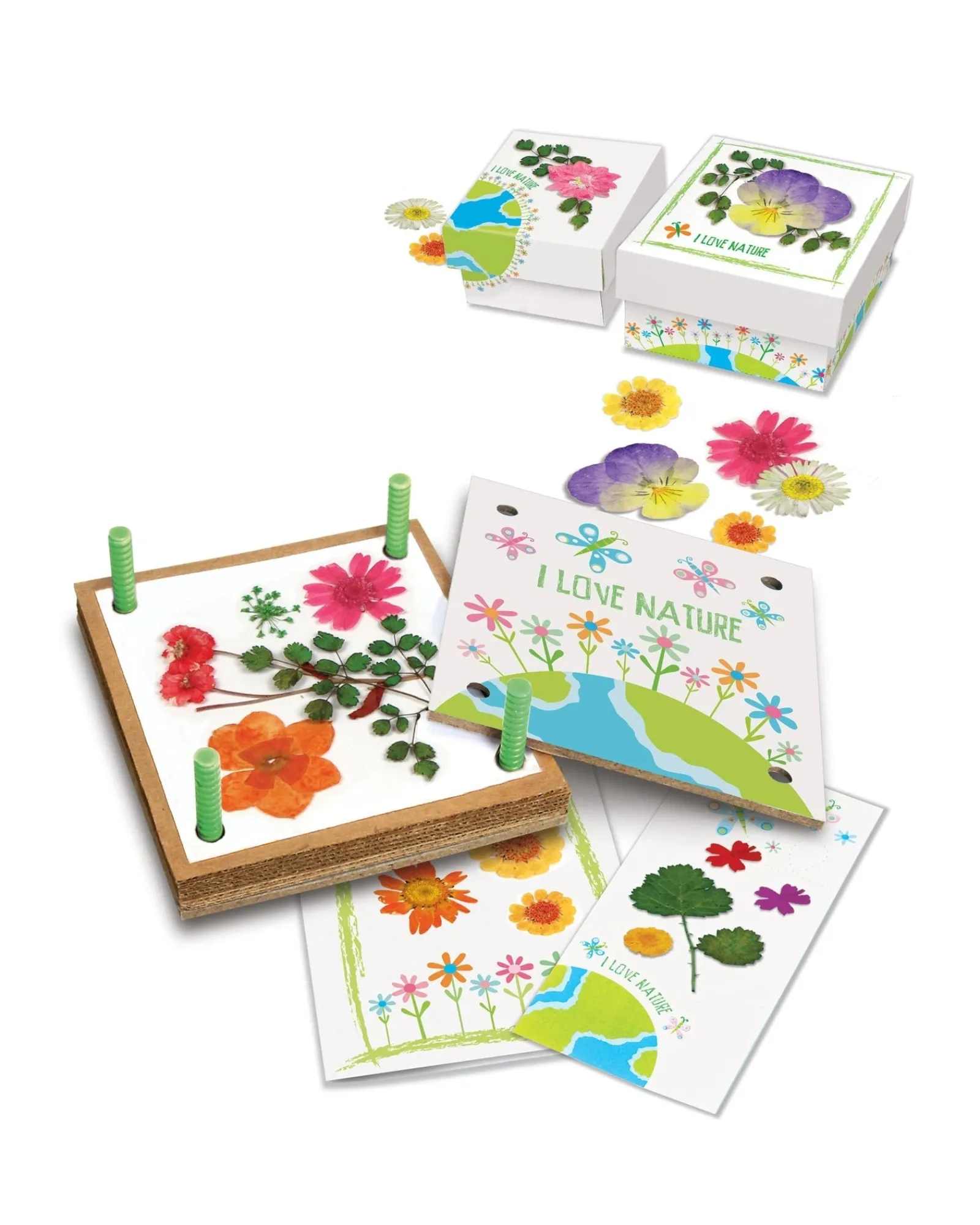 4M Green Science Pressed Flower Art Best Sale