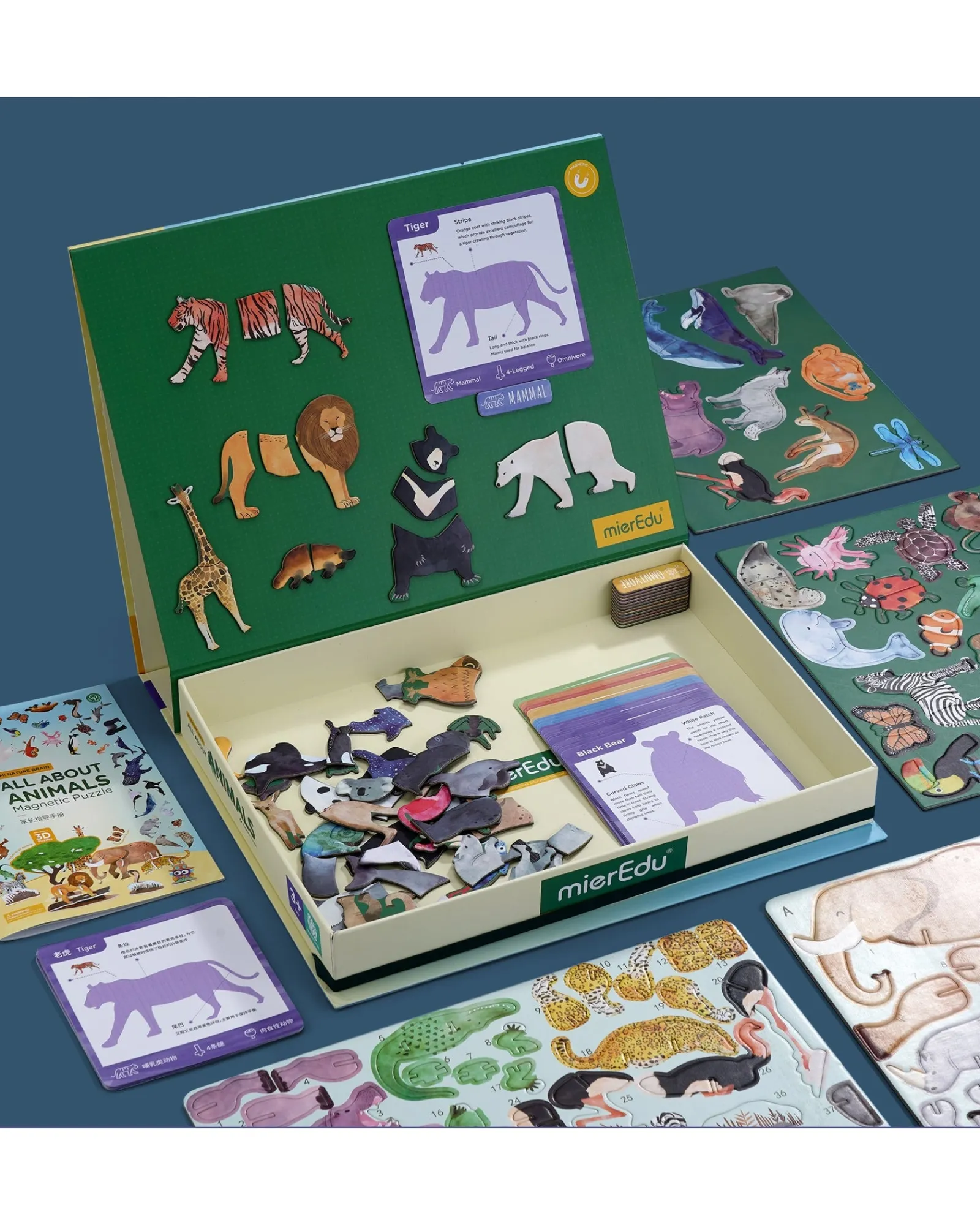 Mier Edu Magnetic Kit All About Animals Sale