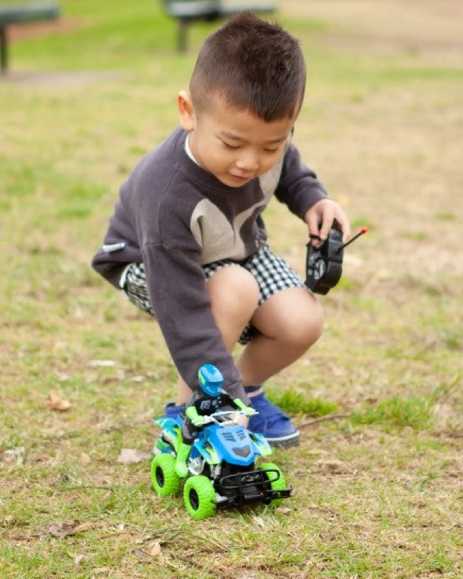 Rallye Remote Control Offroad Quad Sale