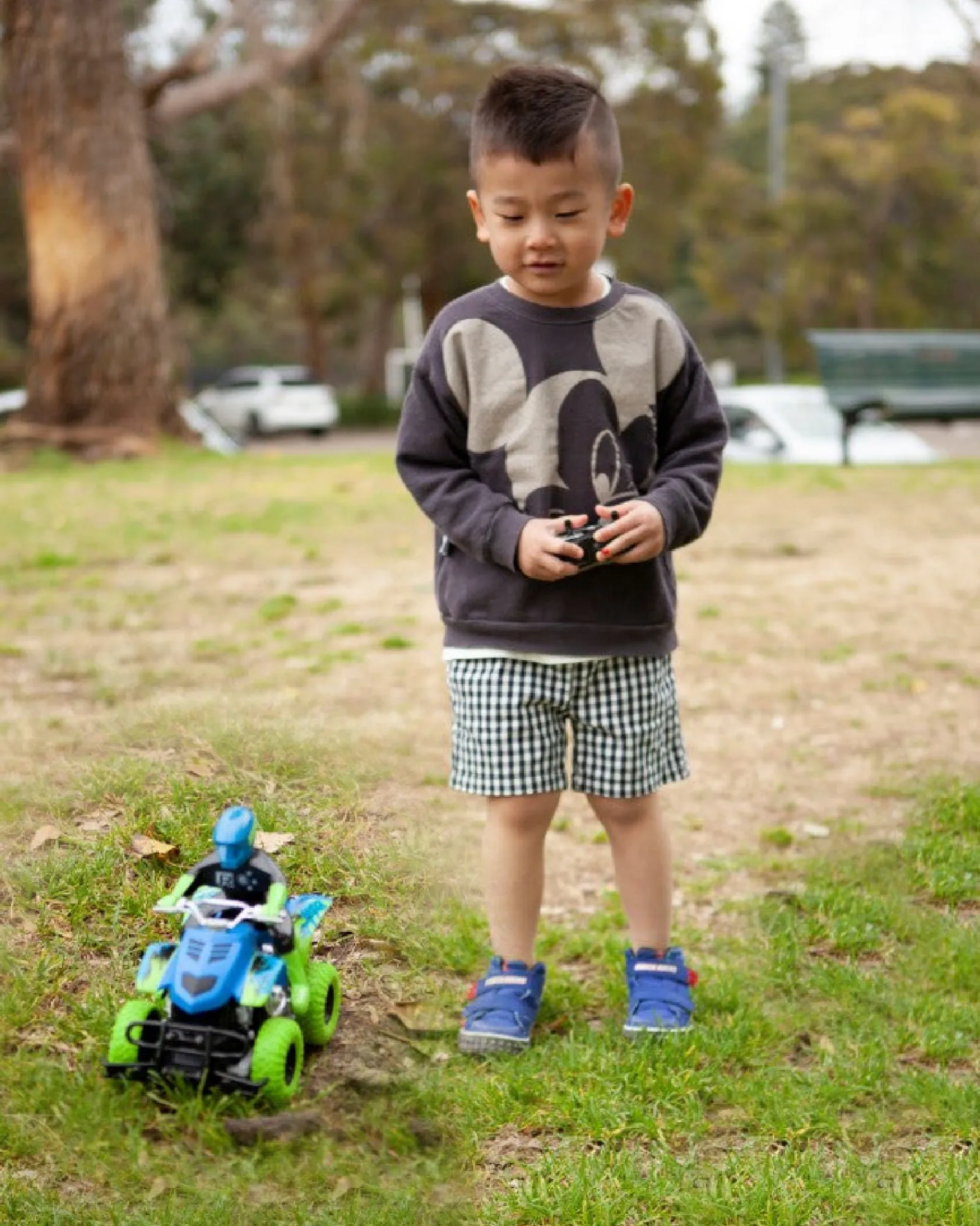 Rallye Remote Control Offroad Quad Sale