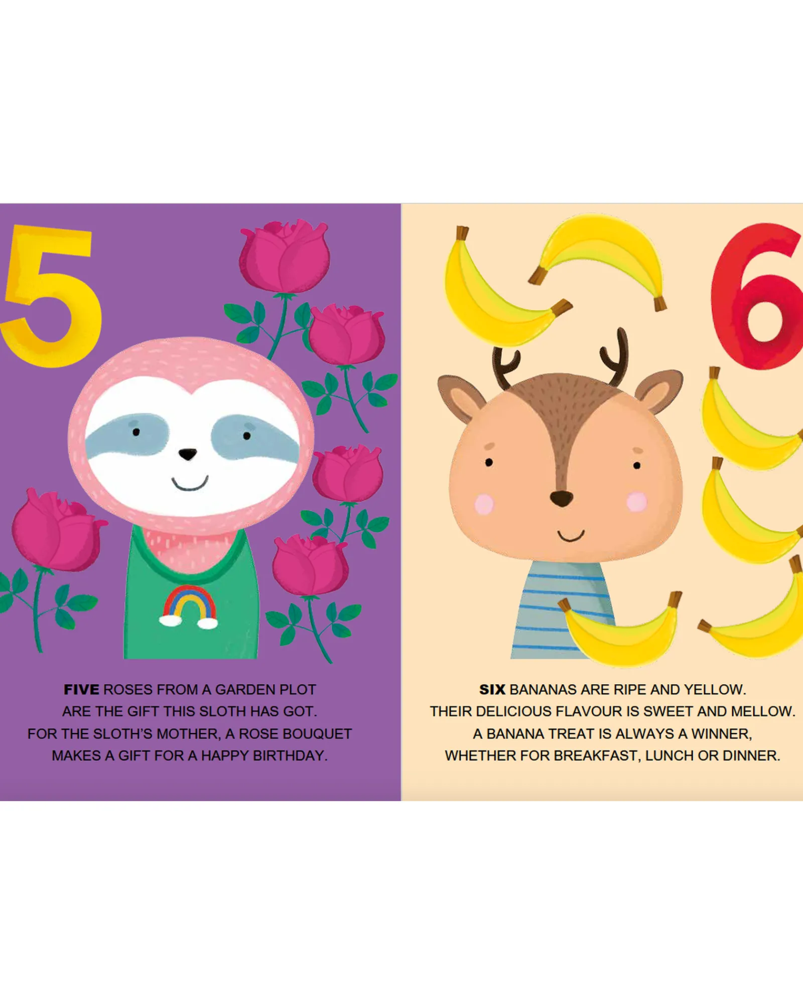Sassi Mega Memory And Book Set Colours Numbers And Shapes 60 Pcs Clearance