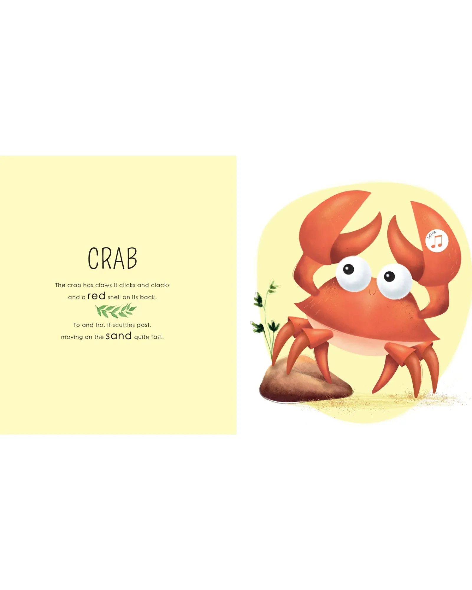 Sassi Sound Book Who Lives In The Sea? Best
