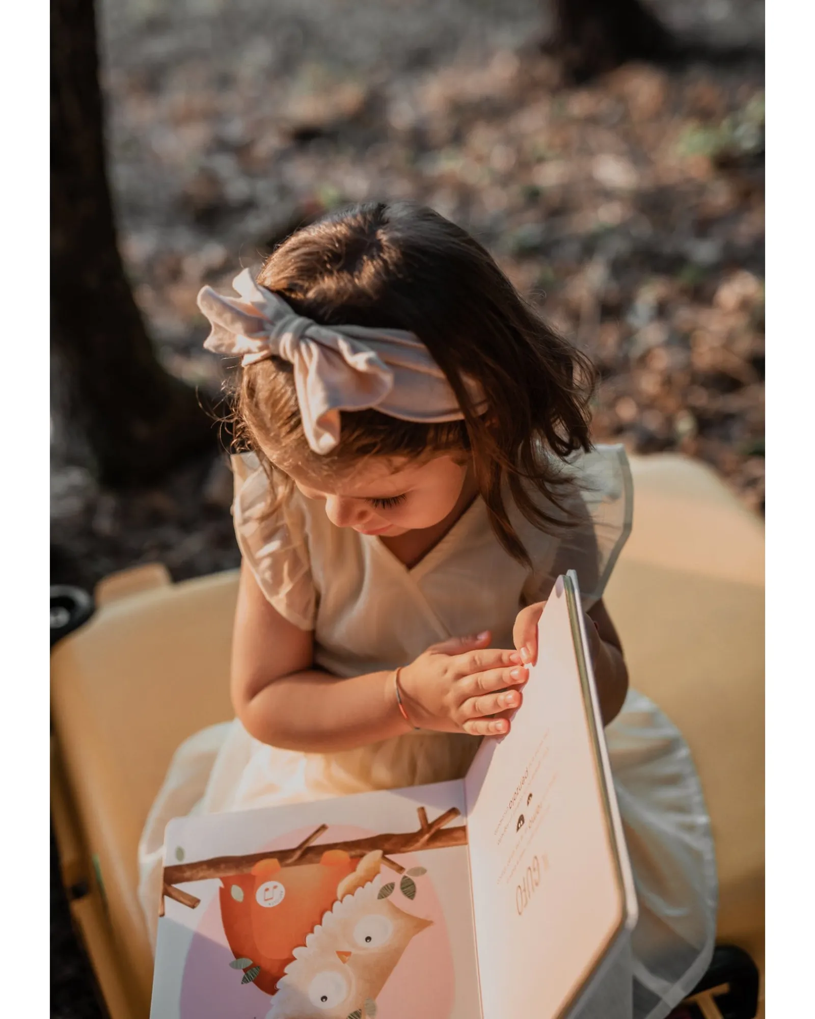 Sassi Sound Book Who Lives In The Woods? New
