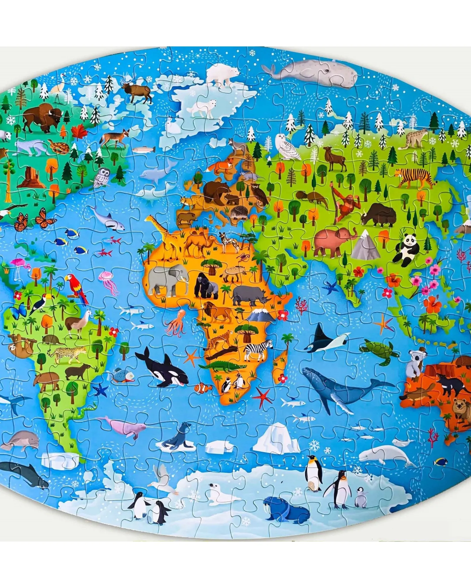 Sassi Travel Learn Explore Earths Endangered Species Cheap