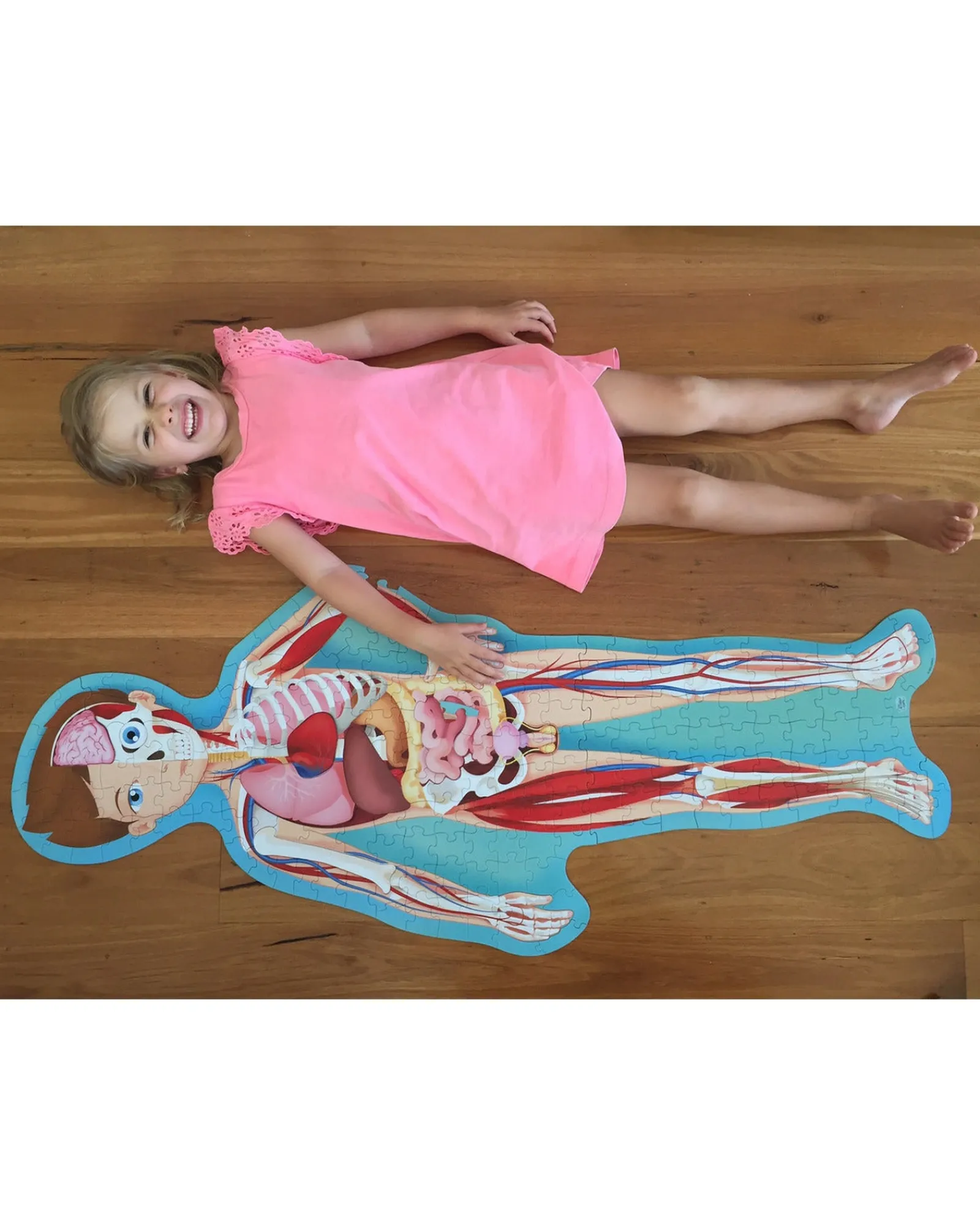 Sassi Travel Learn Explore The Body Puzzle Online
