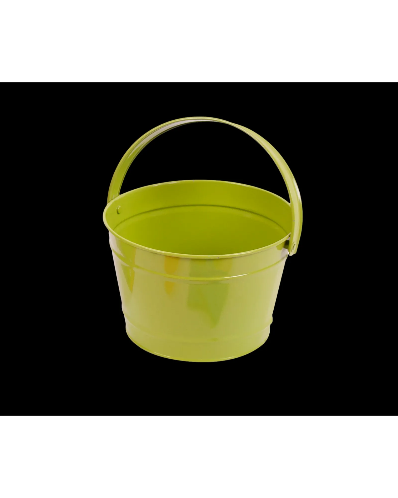Twigz Gardening Pail 2L Green Flash Sale