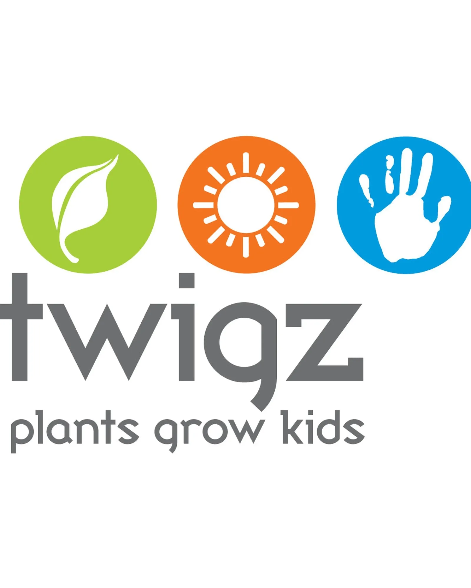 Twigz Hand Tools Set Best