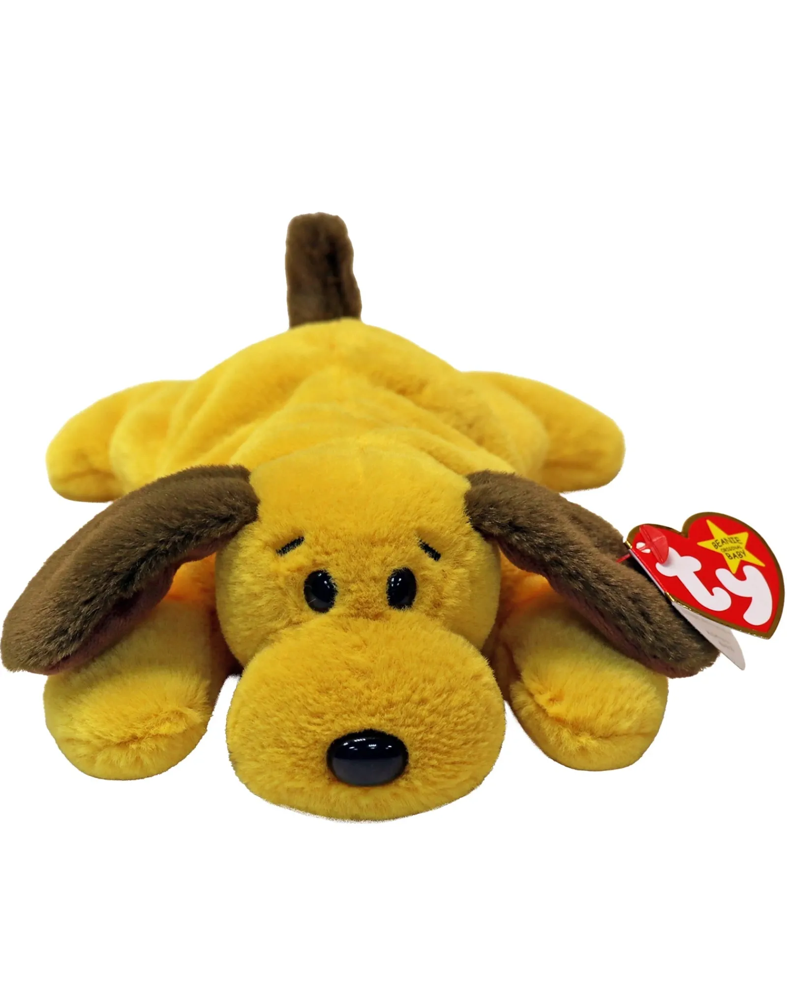 Ty Beanie Babies Bones Ii Brown Dog New