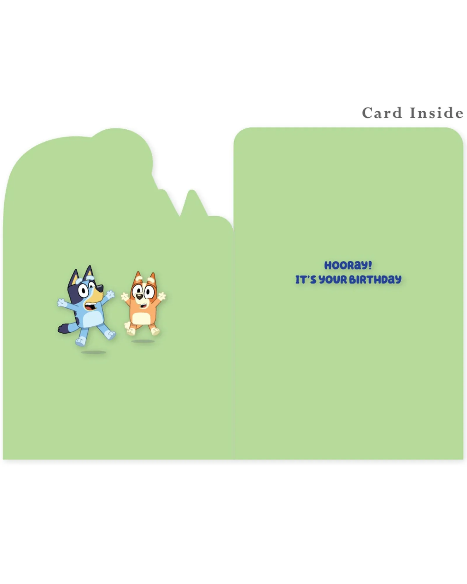 Waterlyn Bluey 2Nd Birthday Card Outlet