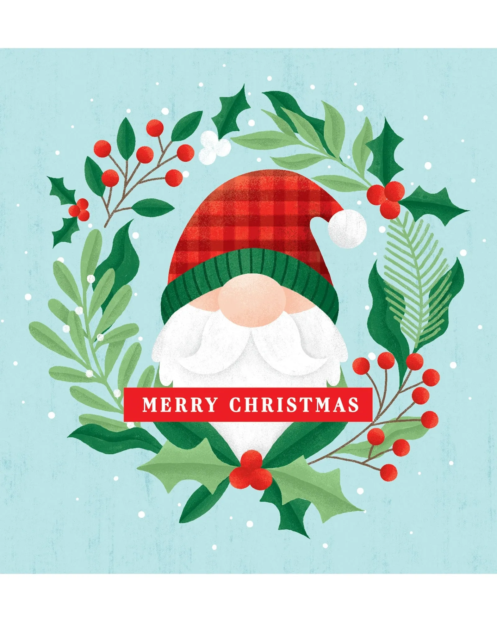 Waterlyn Boxed Christmas Gnome Wreath Best