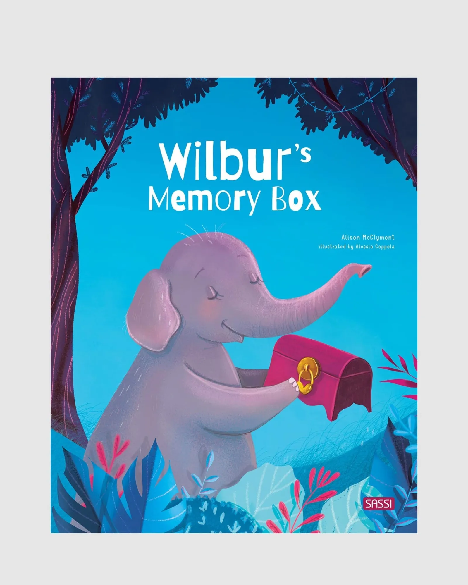Sassi Wilburs Memory Box Story Book Kids Hot