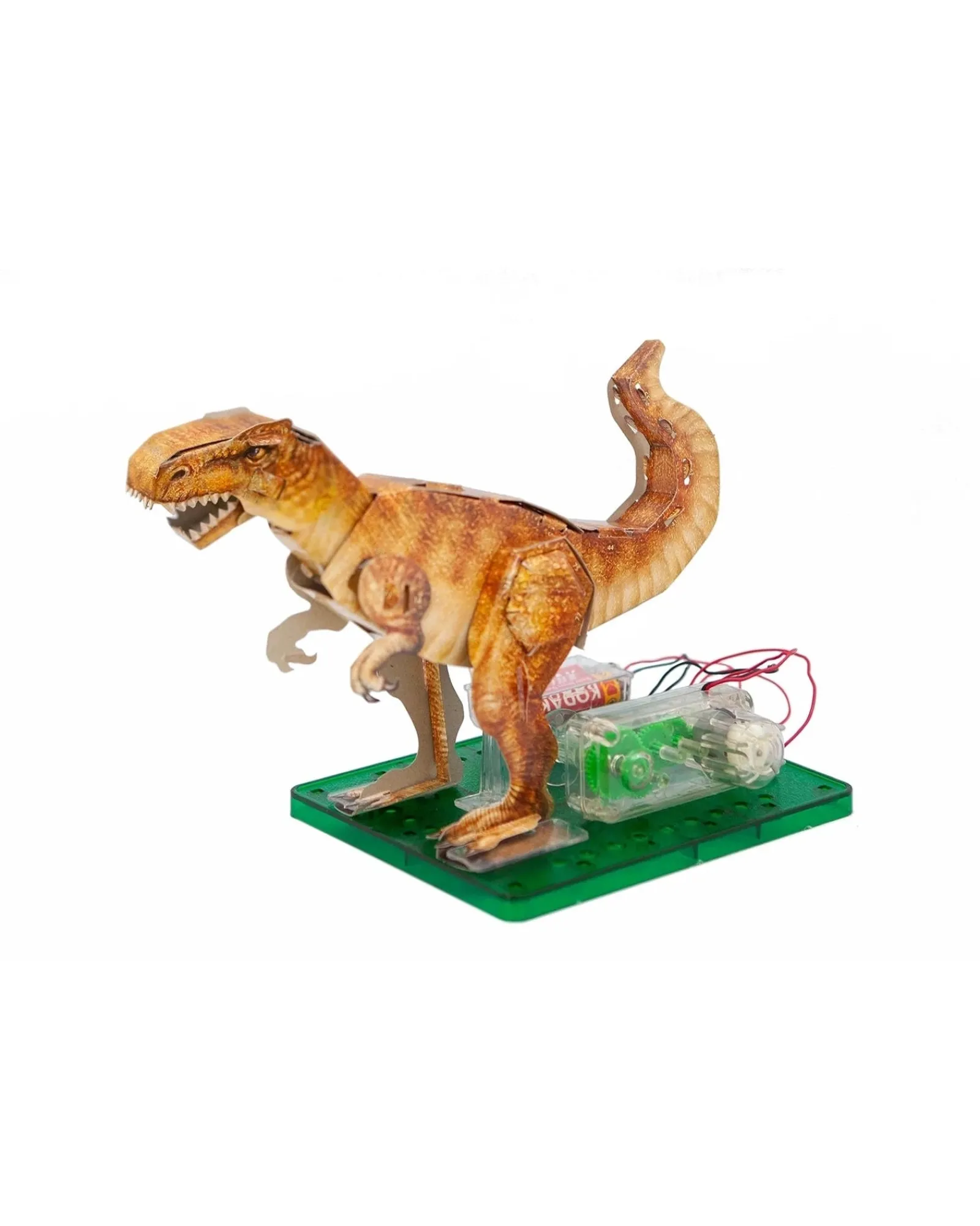 WonderStuff 4D Science T Rex Cheap