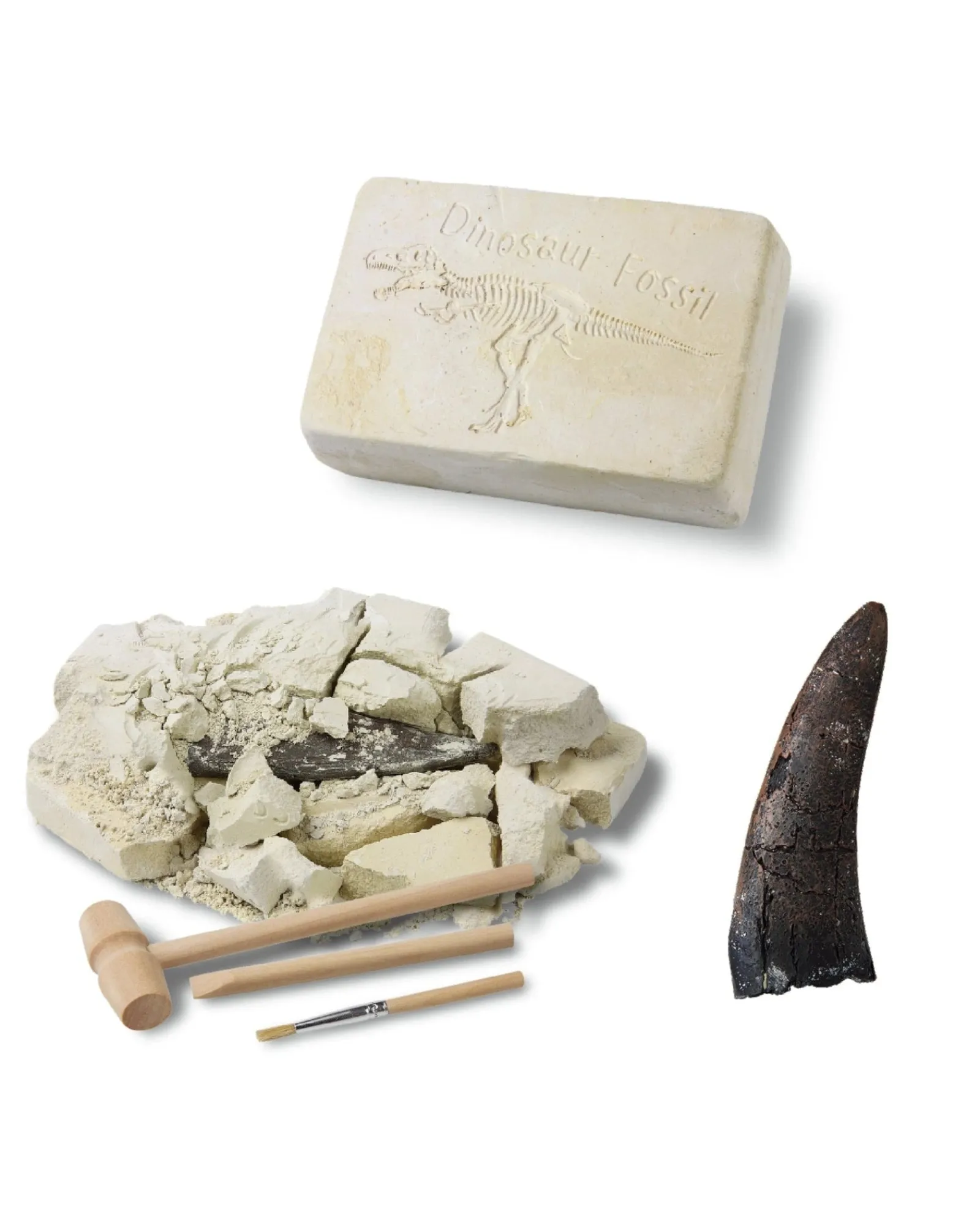 WonderStuff Dig And Discover Dinosaur Tooth Cheap
